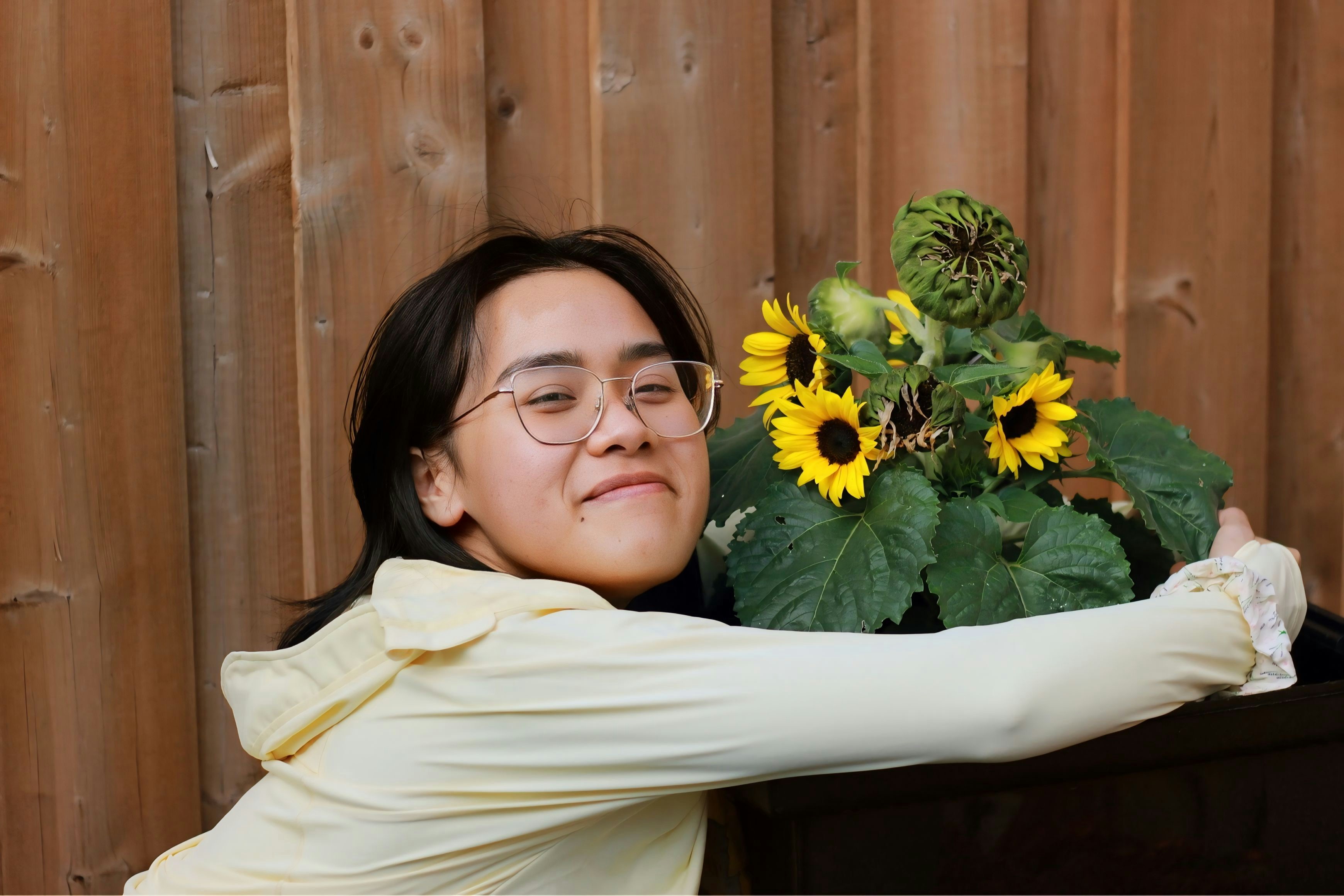 Woman hugs a potted sunflower plant.