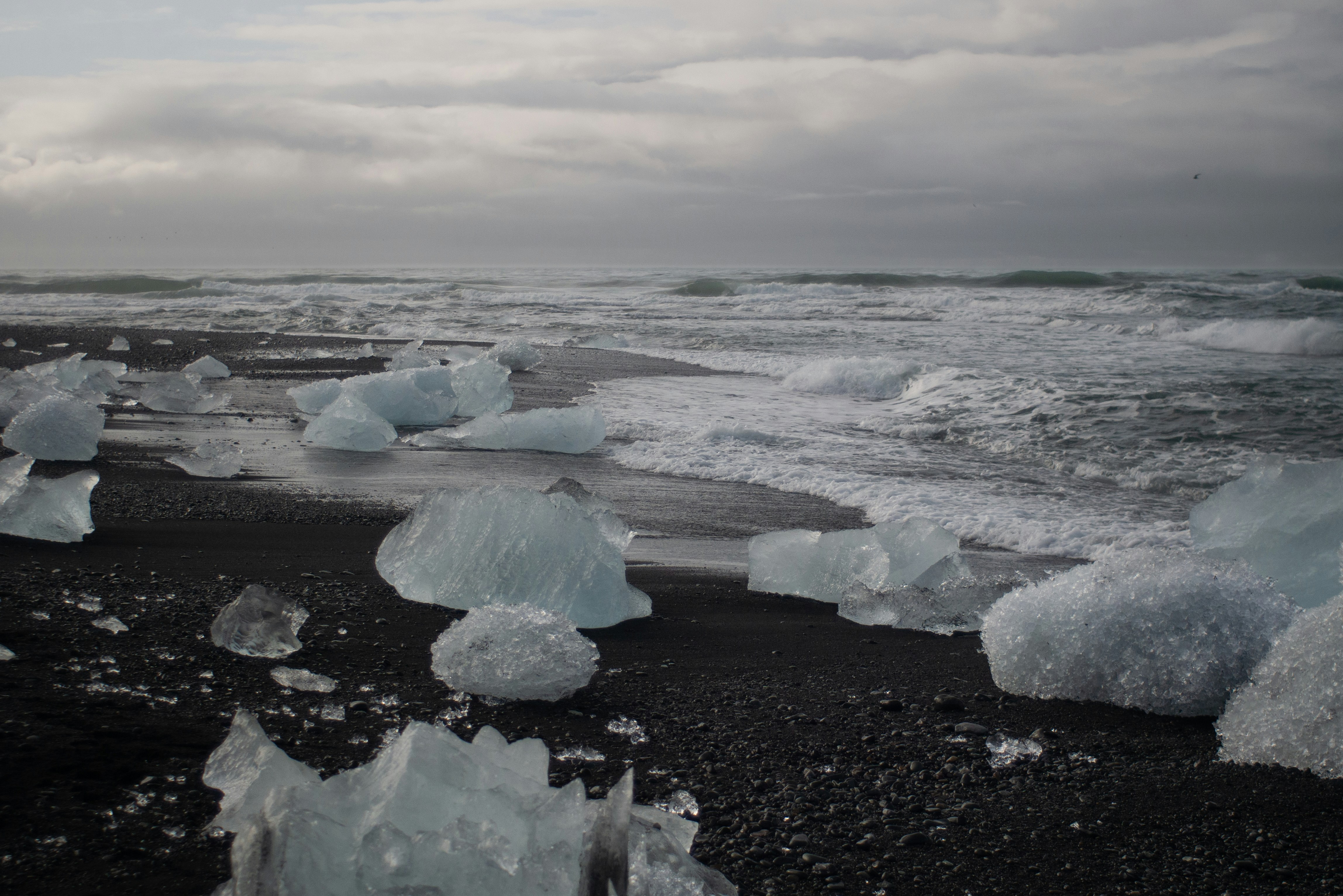 Icebergs scattered on a black sand beach.
