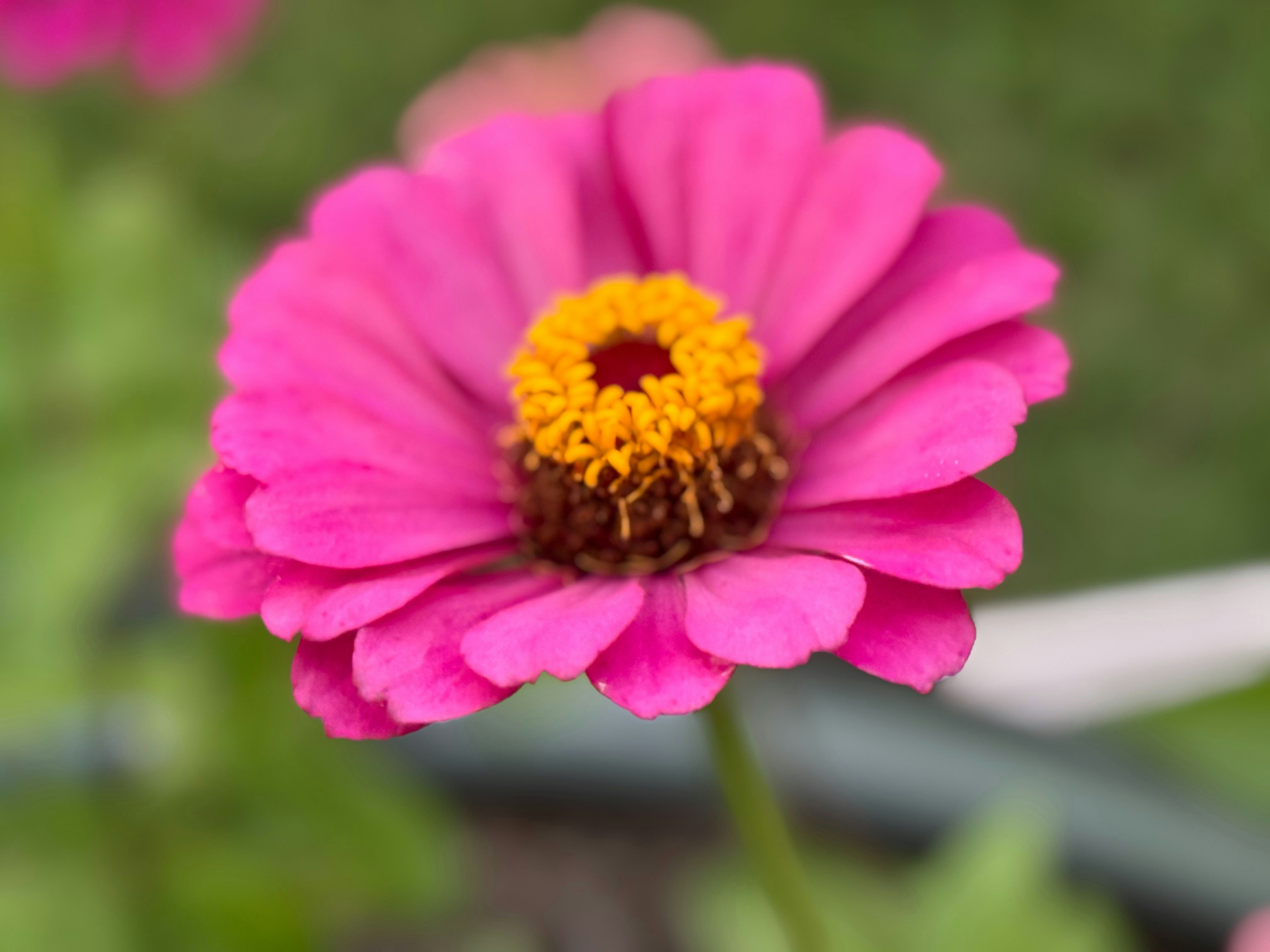 Photo by christymarlana67