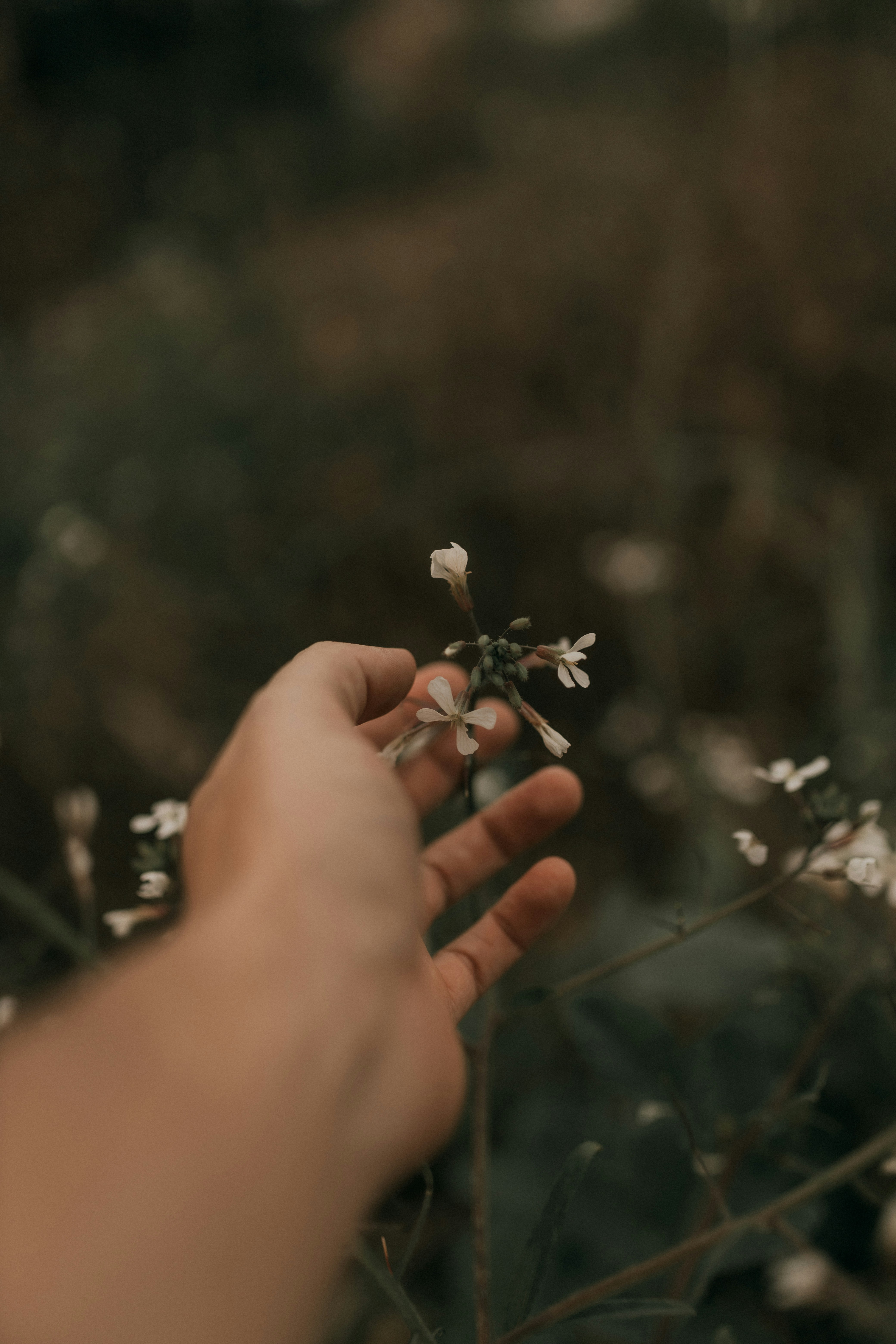 Photo by alexandermassph