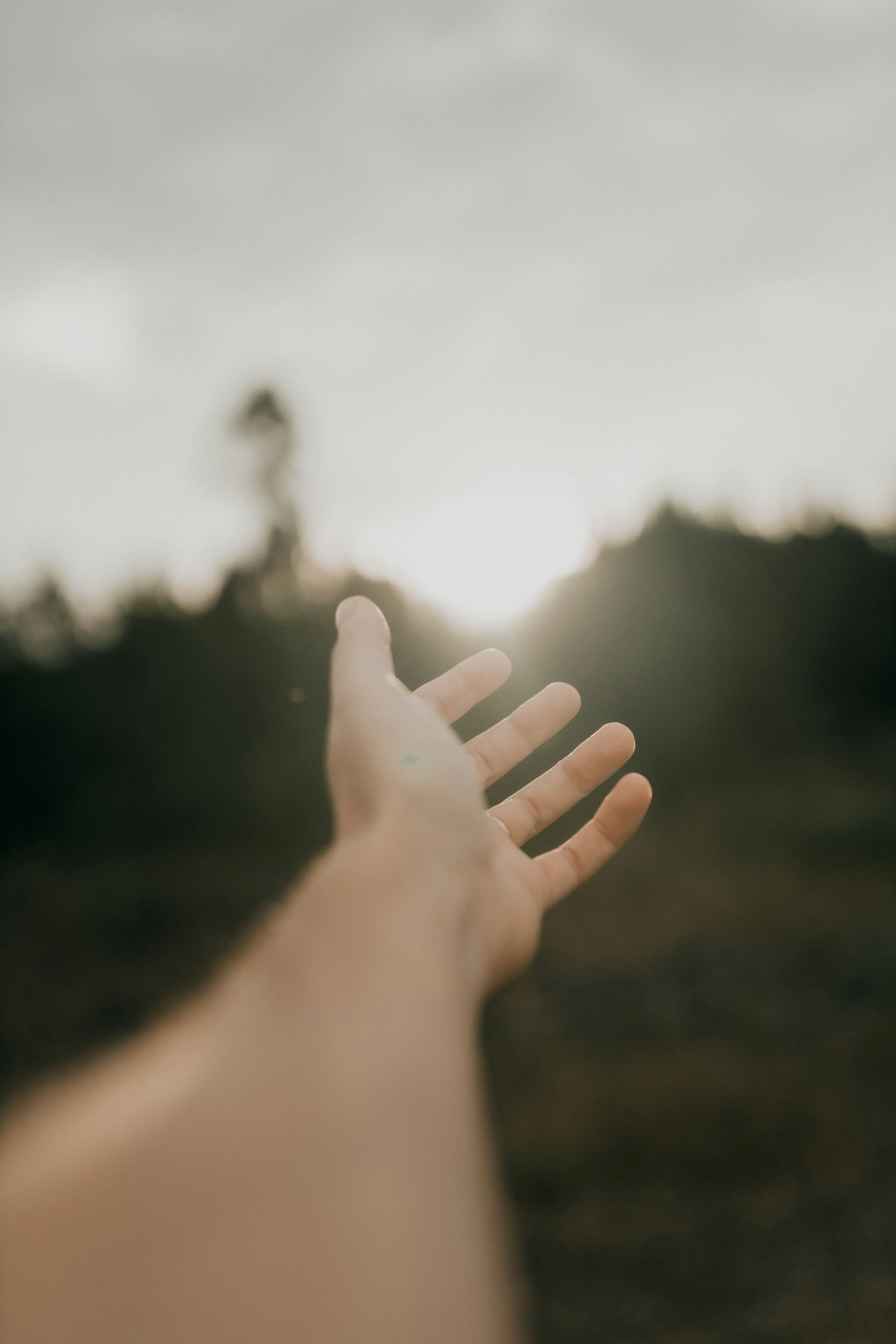 Photo by alexandermassph