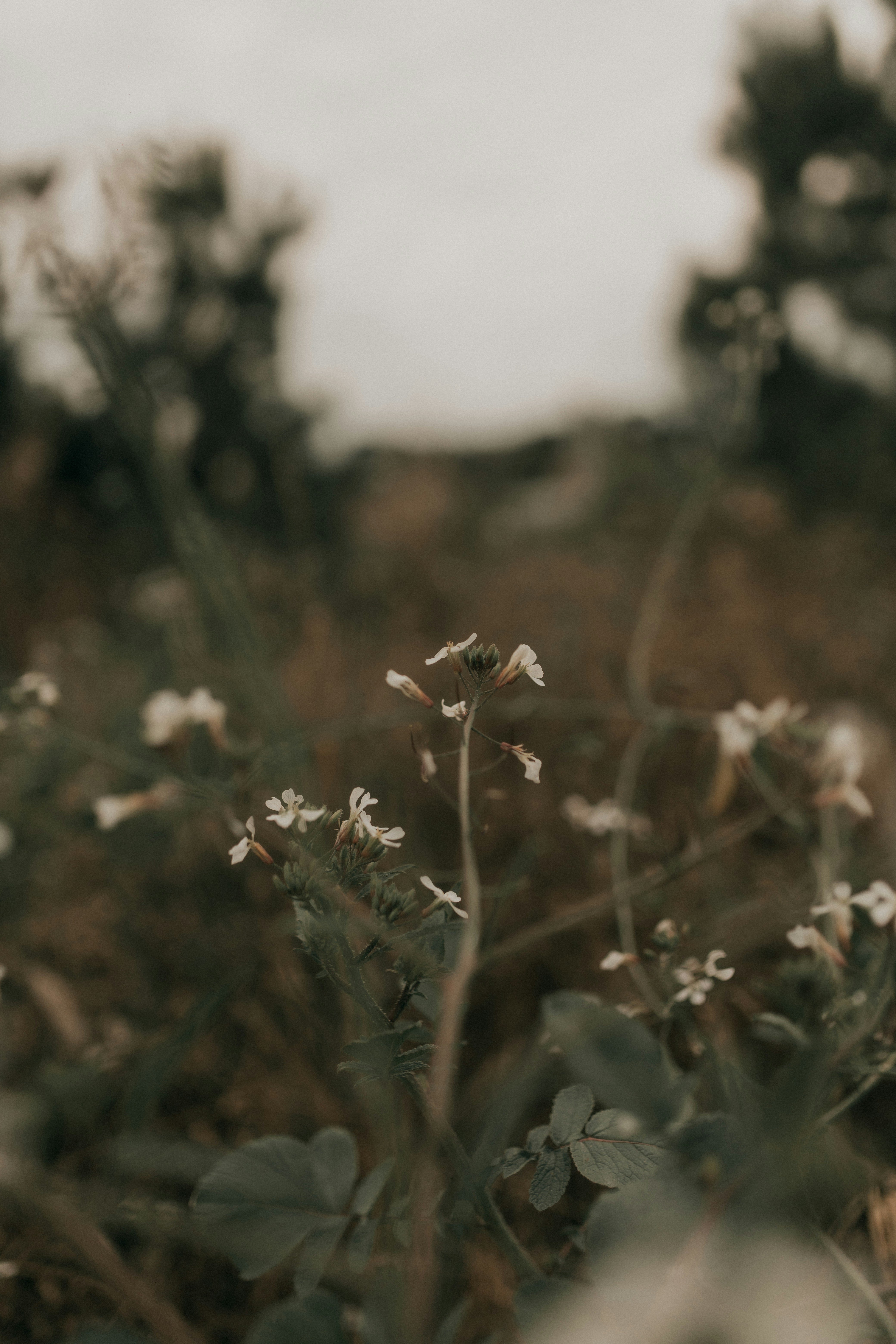 Photo by alexandermassph