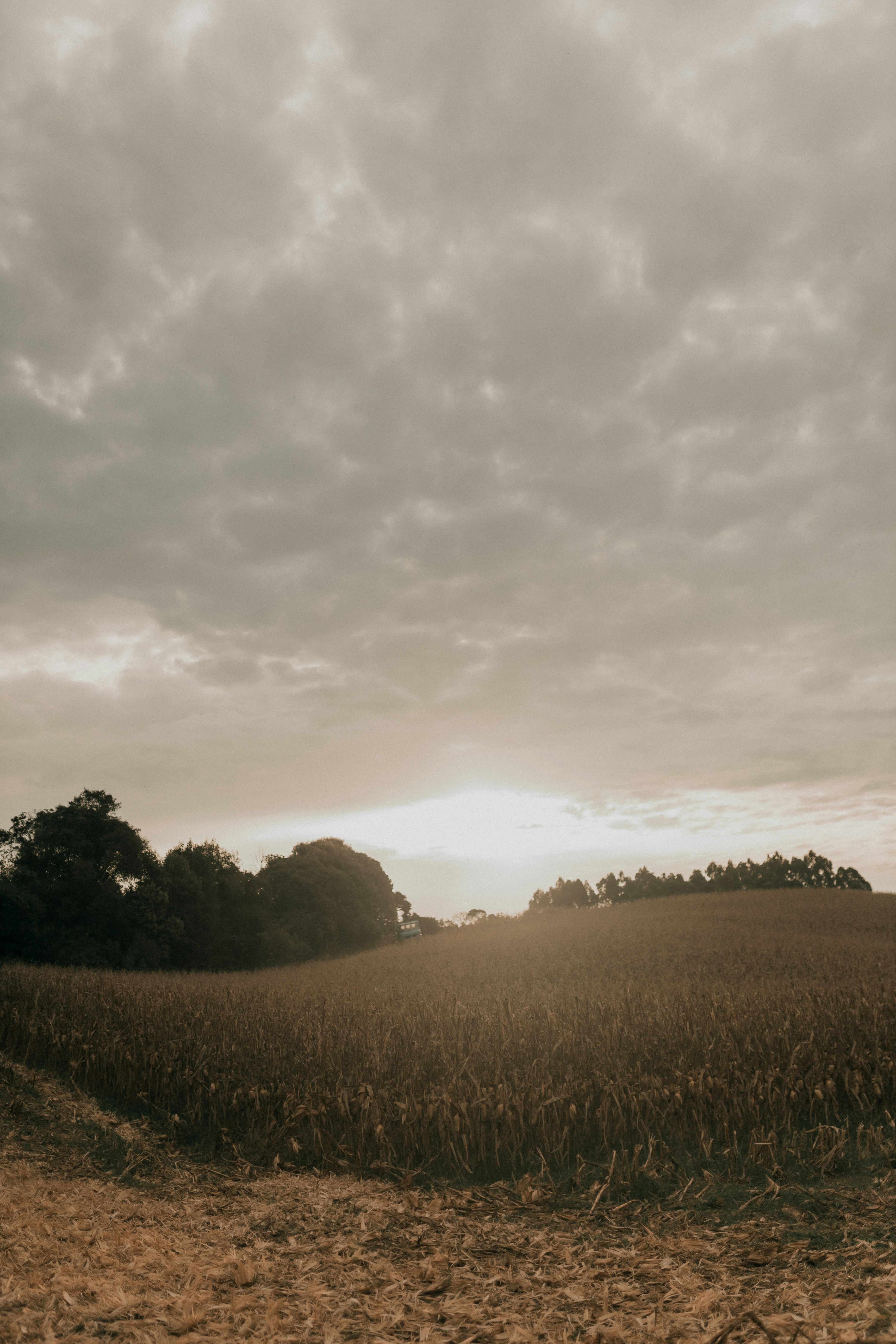 Photo by alexandermassph