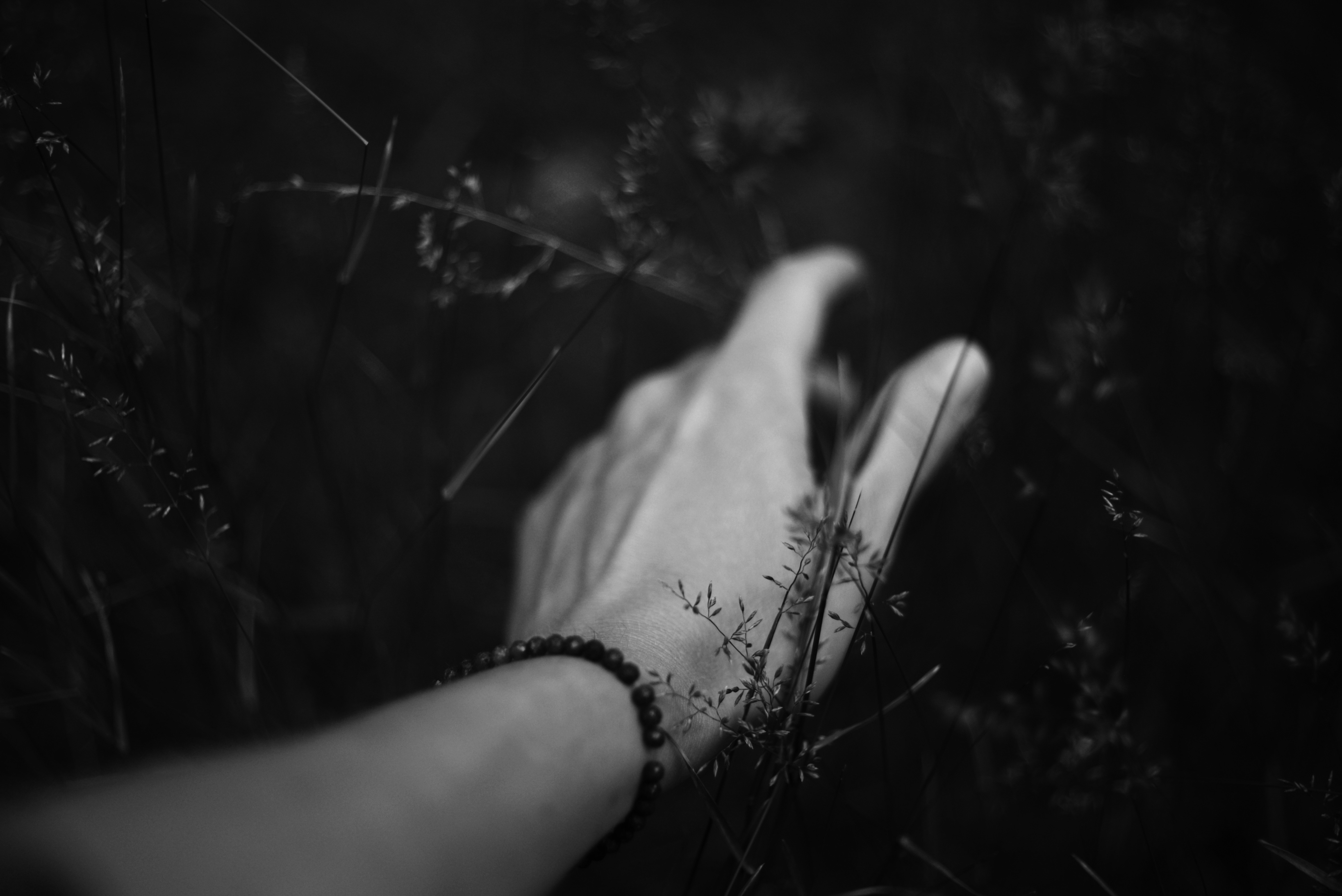 Photo by cherstve_pechivo