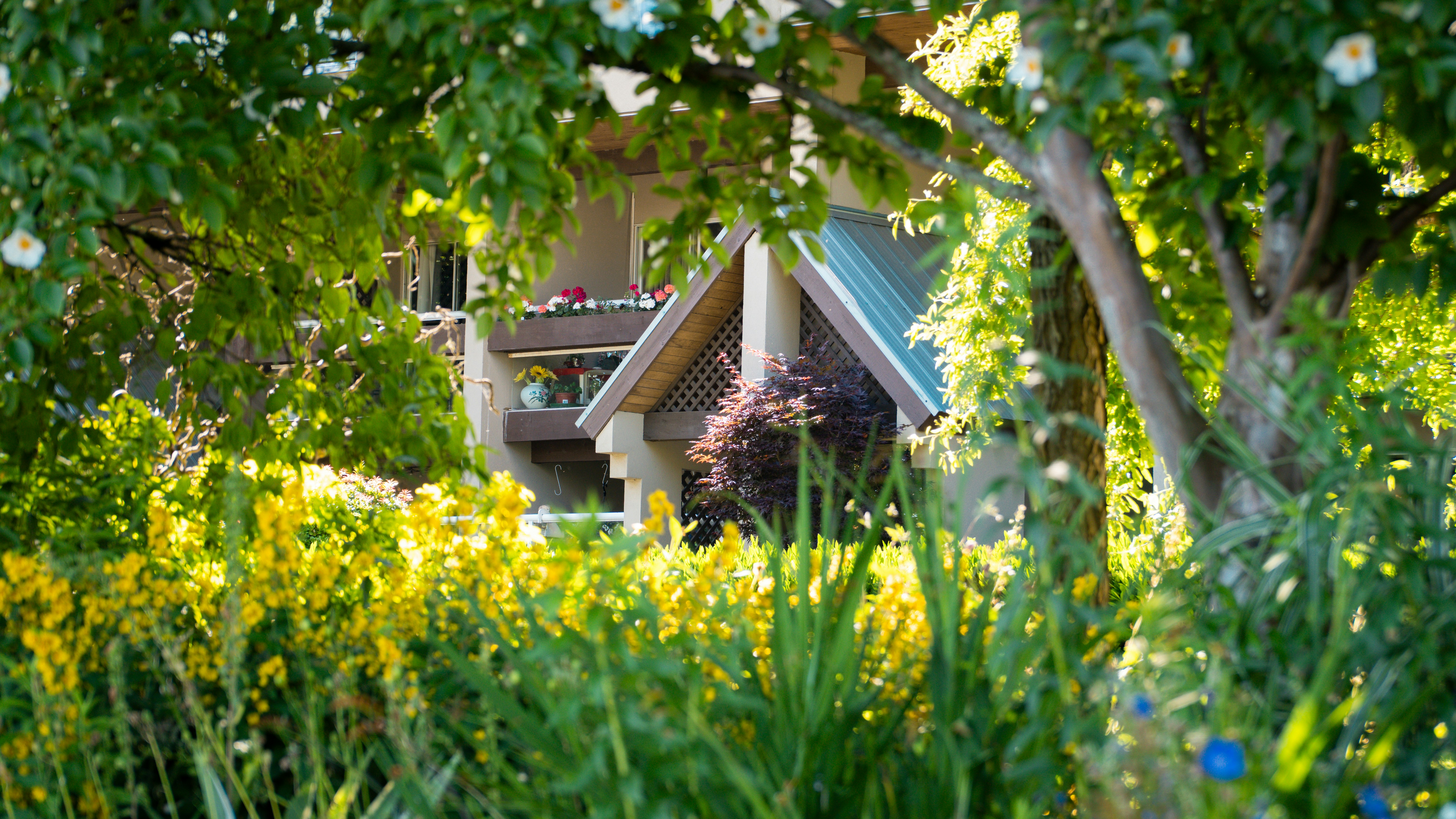 Photo by syawishrehman