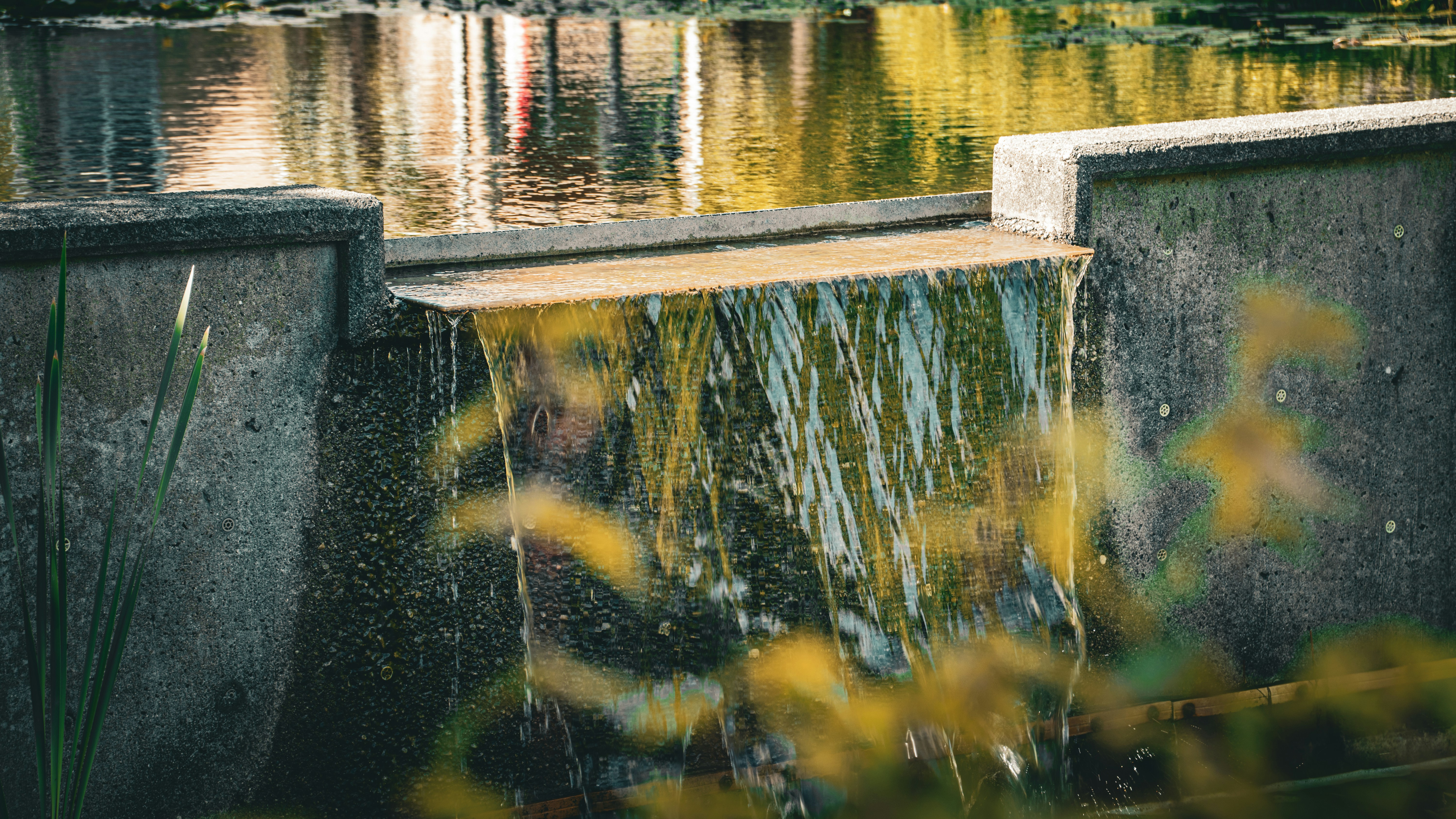 Photo by syawishrehman