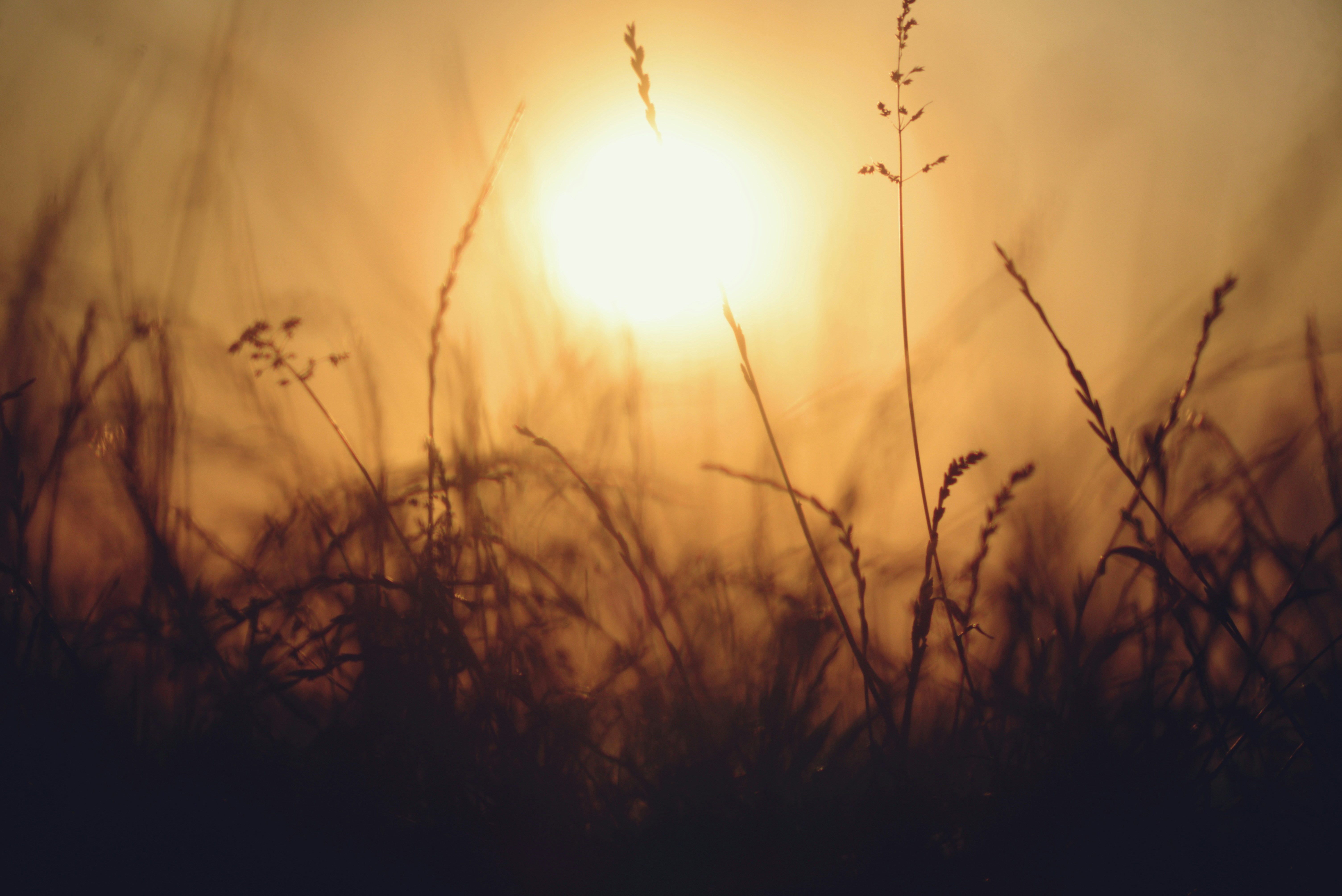 Photo by cherstve_pechivo