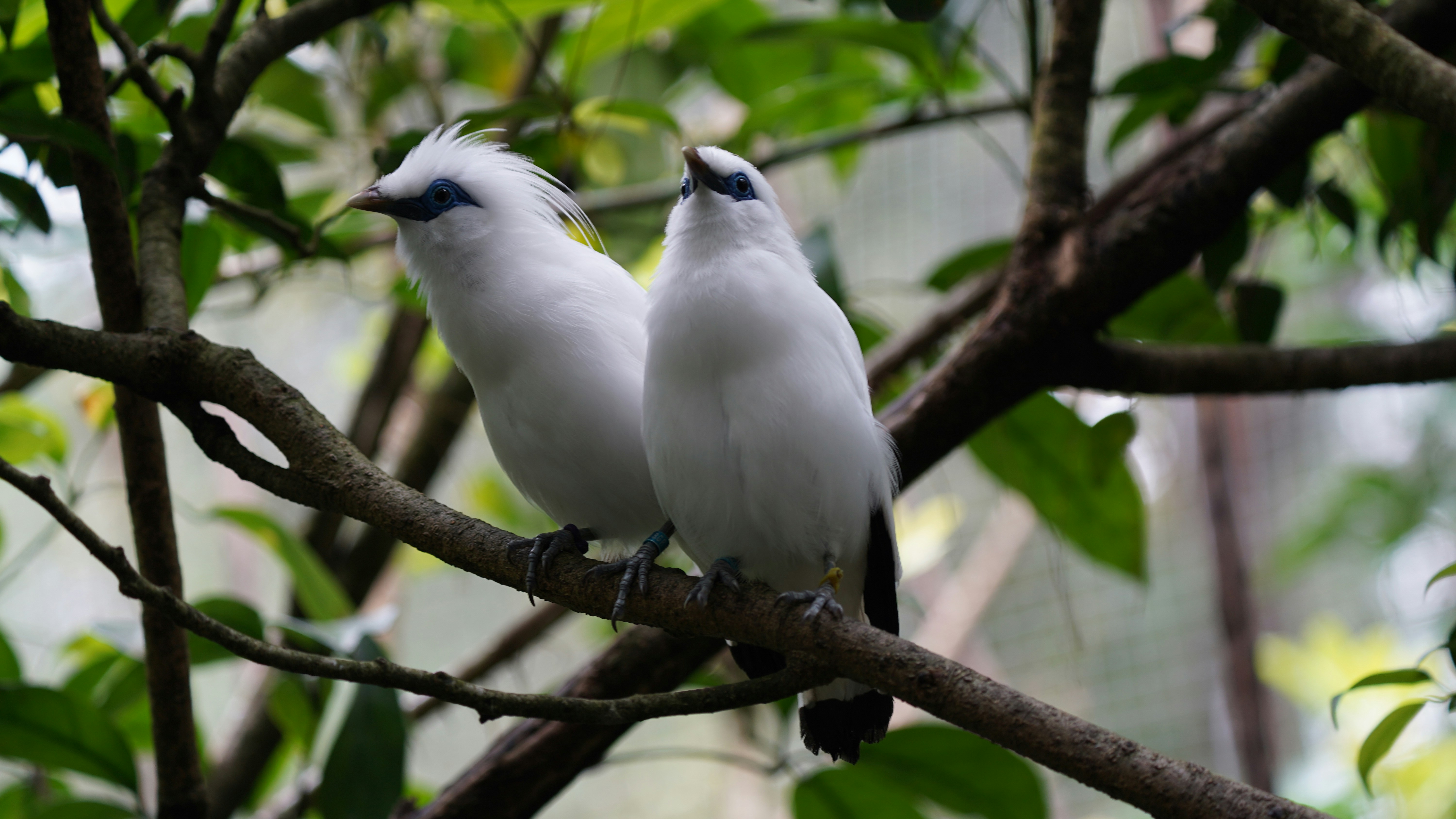 Voice‑First Baby Toys in 2026: Why Conversational Play Is Now a Safety and Development Priority