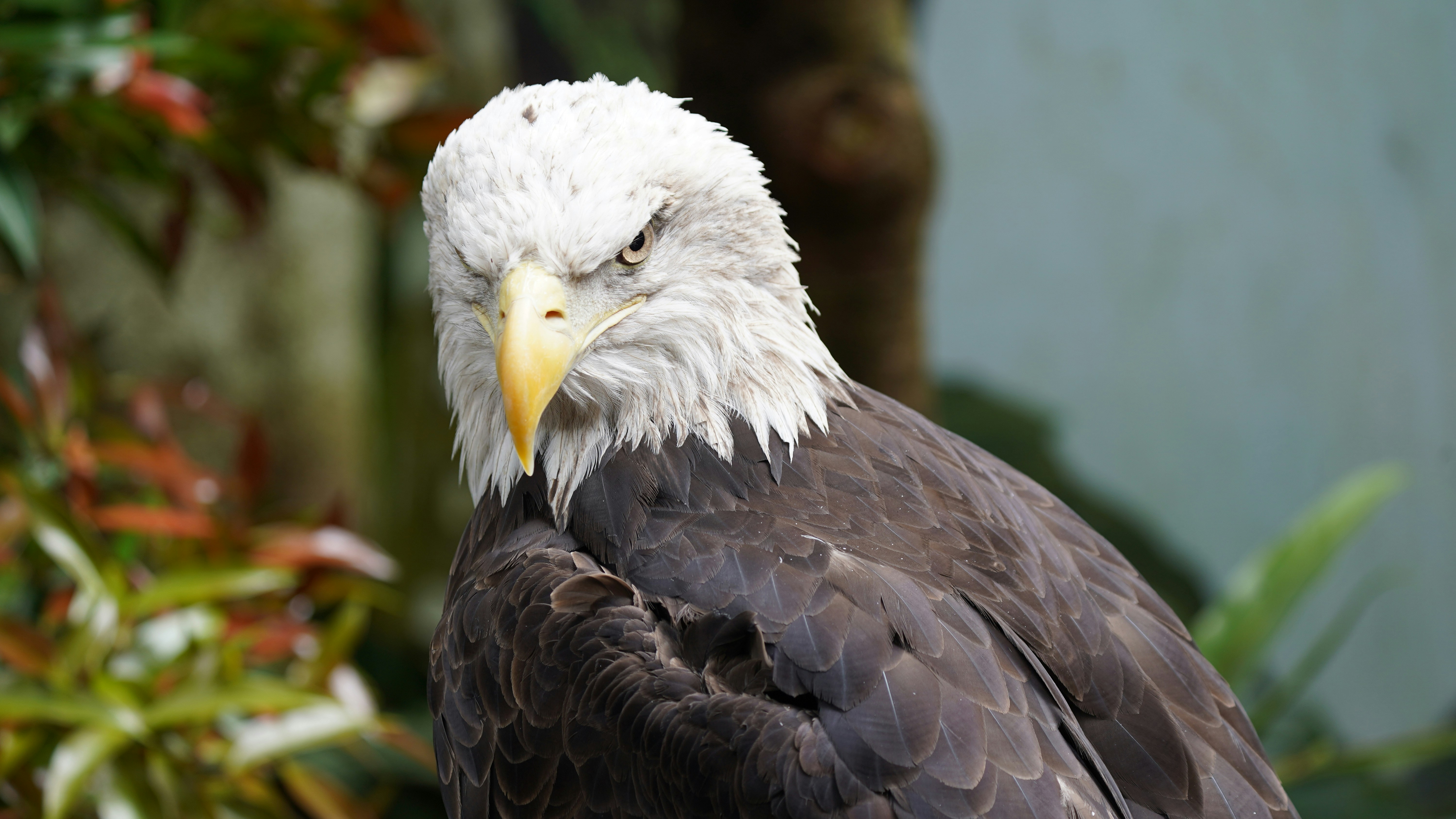 Photo by eka_kurniawan_muchiar