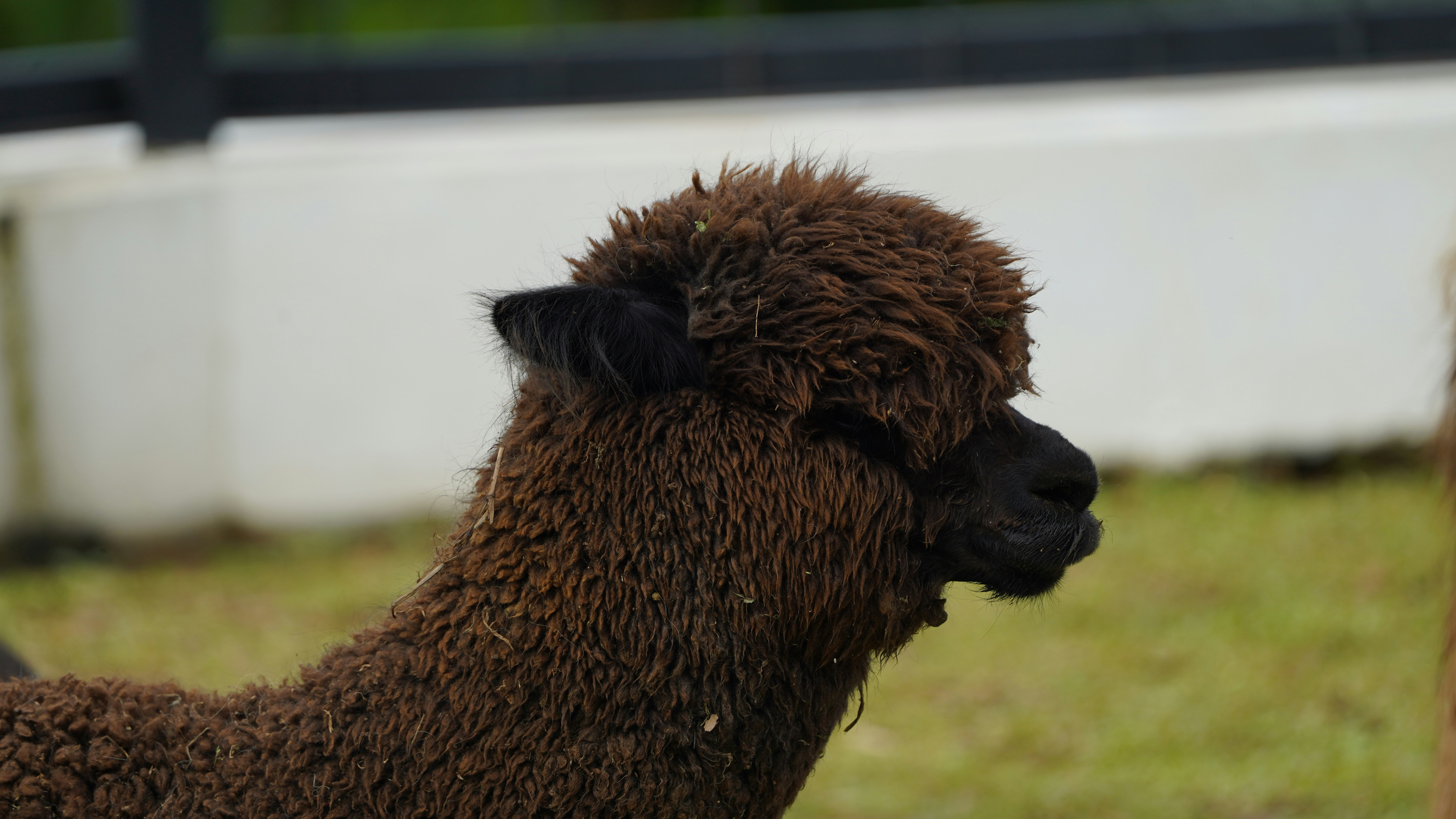 Photo by eka_kurniawan_muchiar