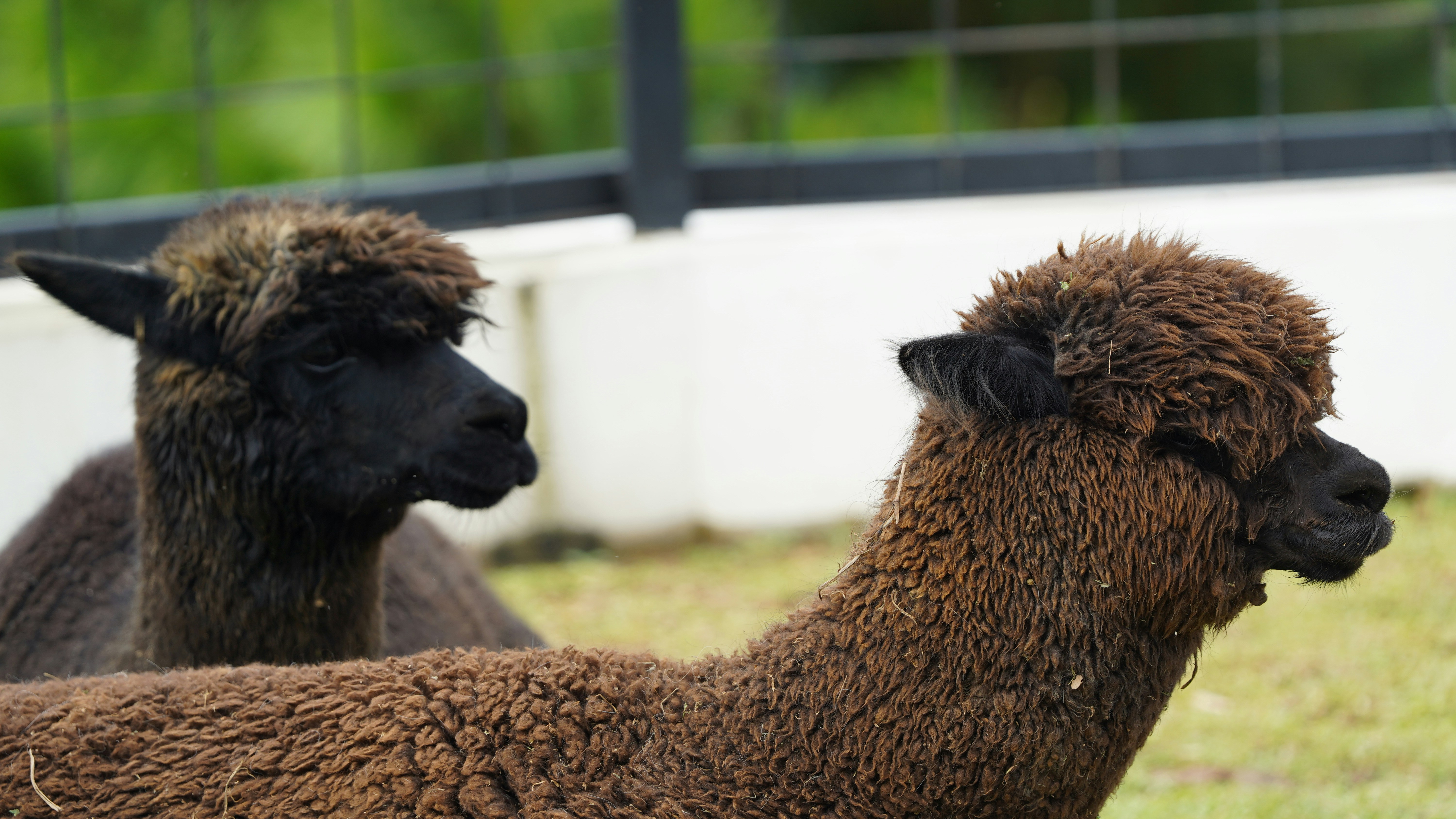 Photo by eka_kurniawan_muchiar