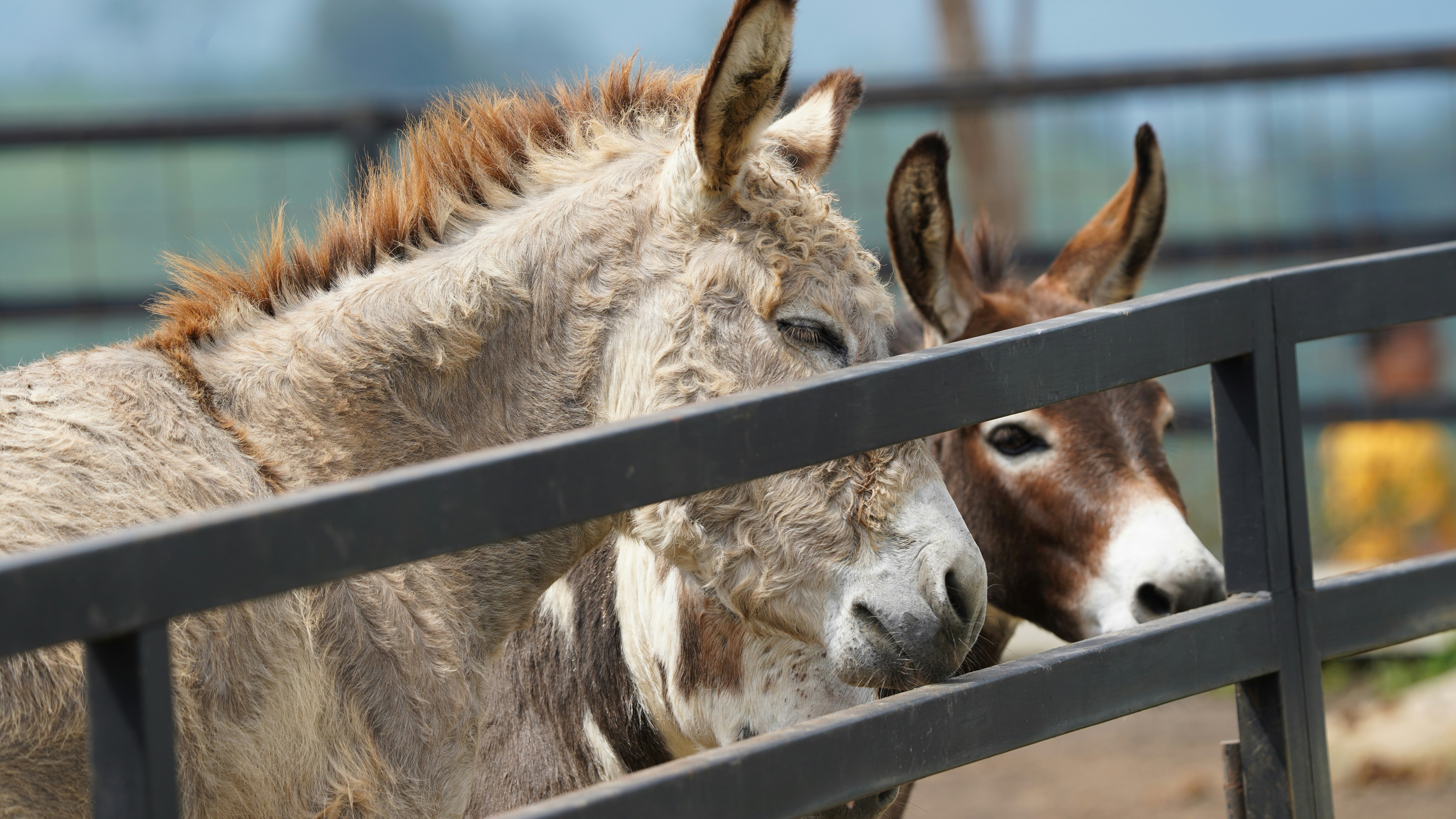 Photo by eka_kurniawan_muchiar