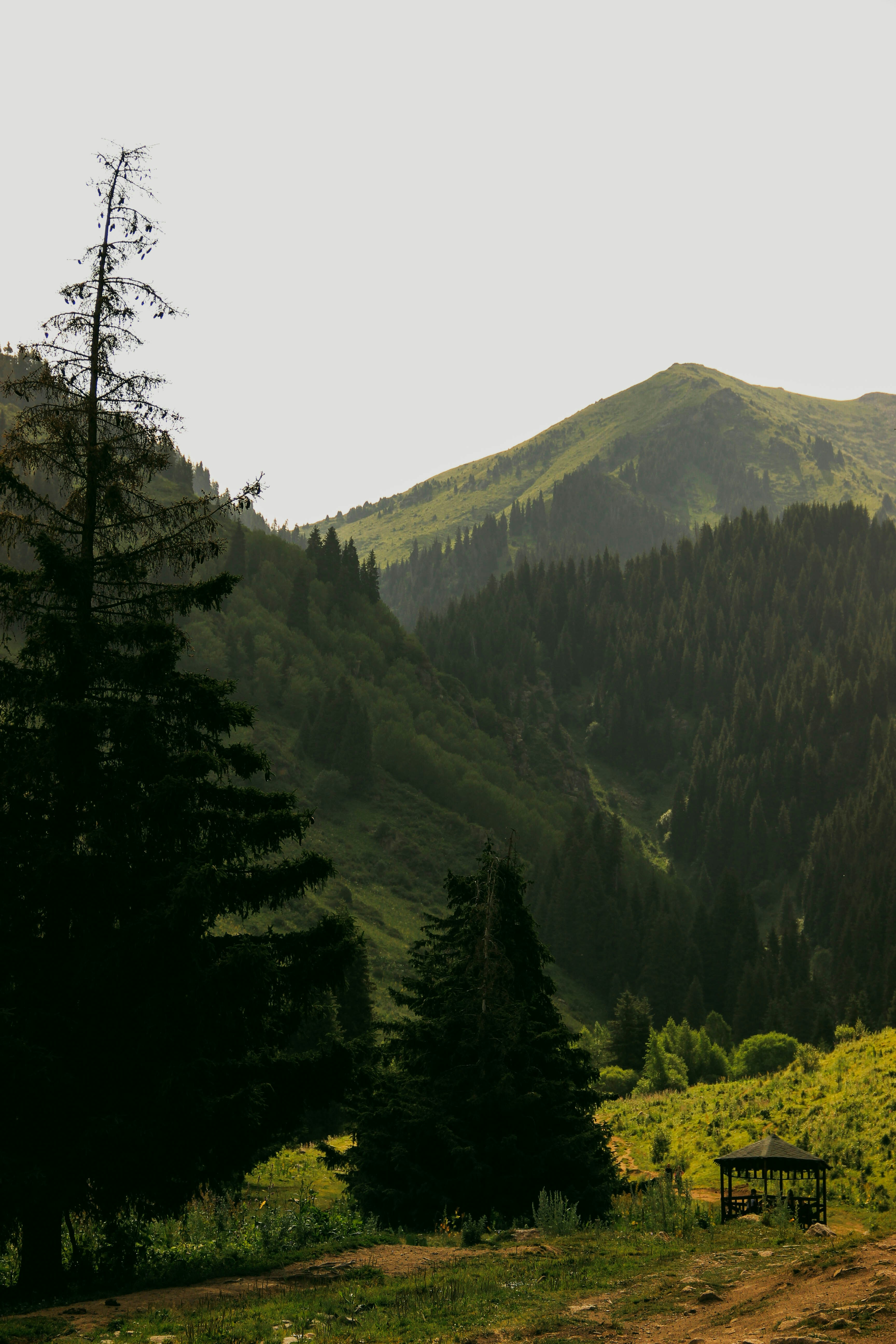 Photo by daniyarorazov