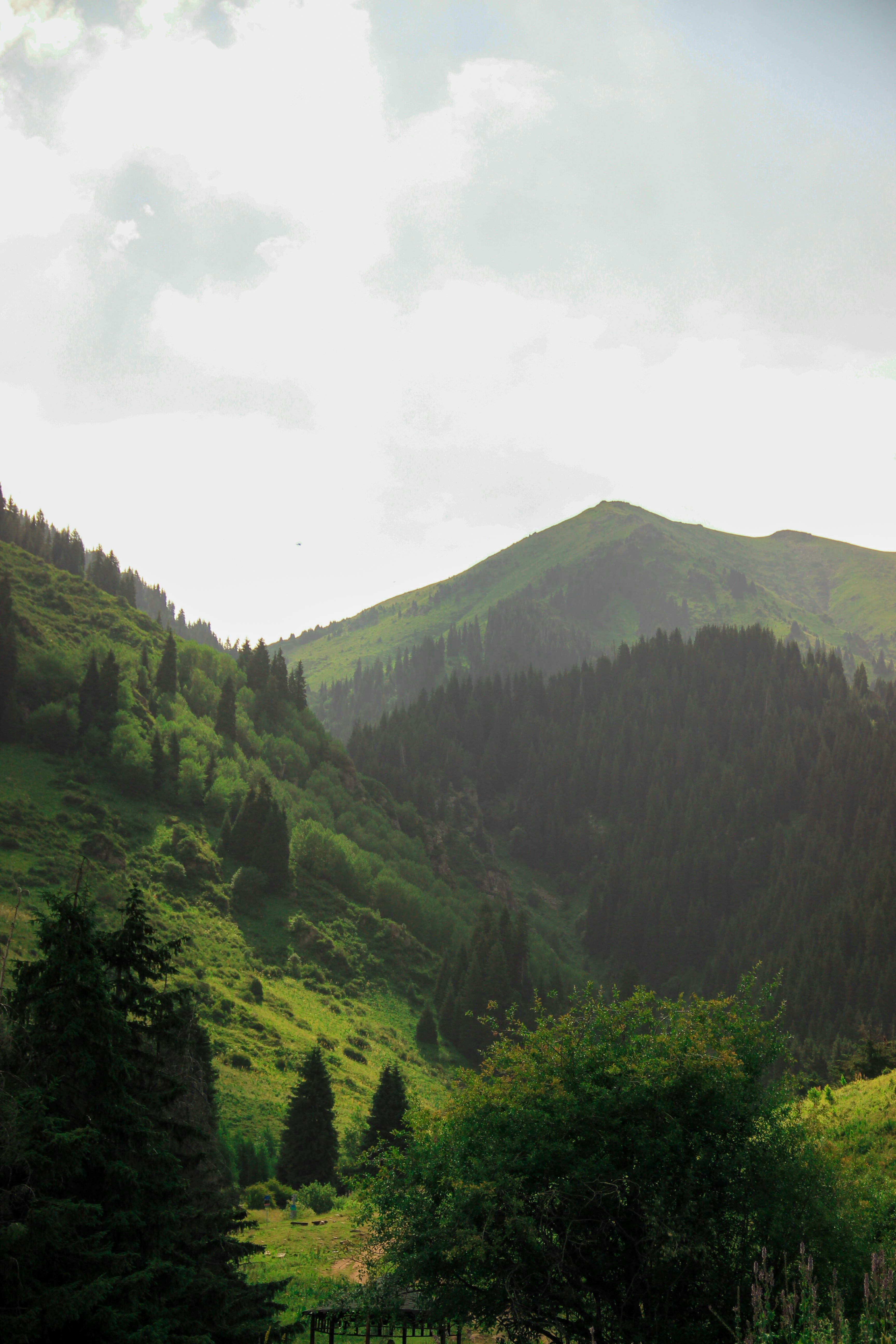 Photo by daniyarorazov