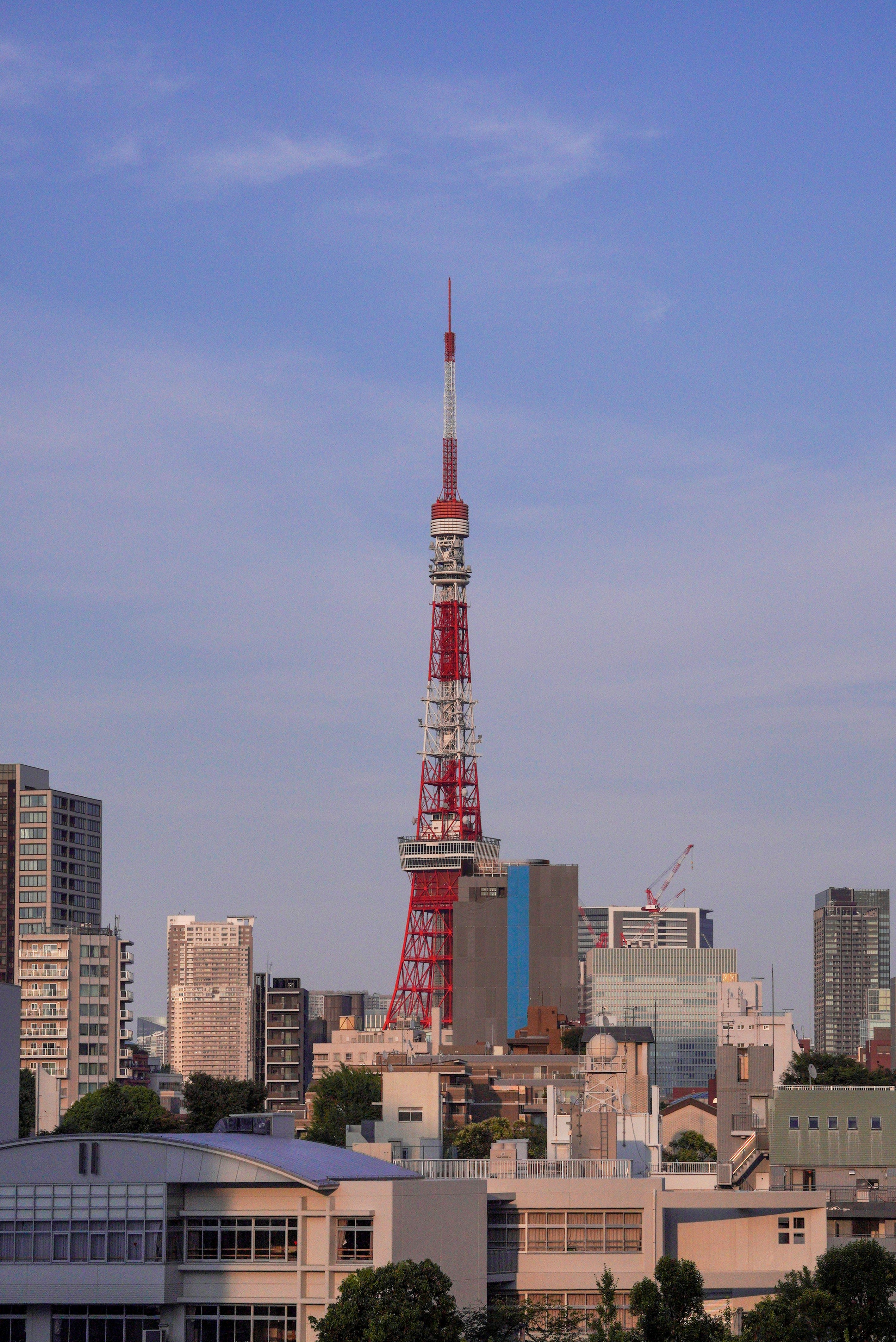 Tokyo tower soars above the city skyline.