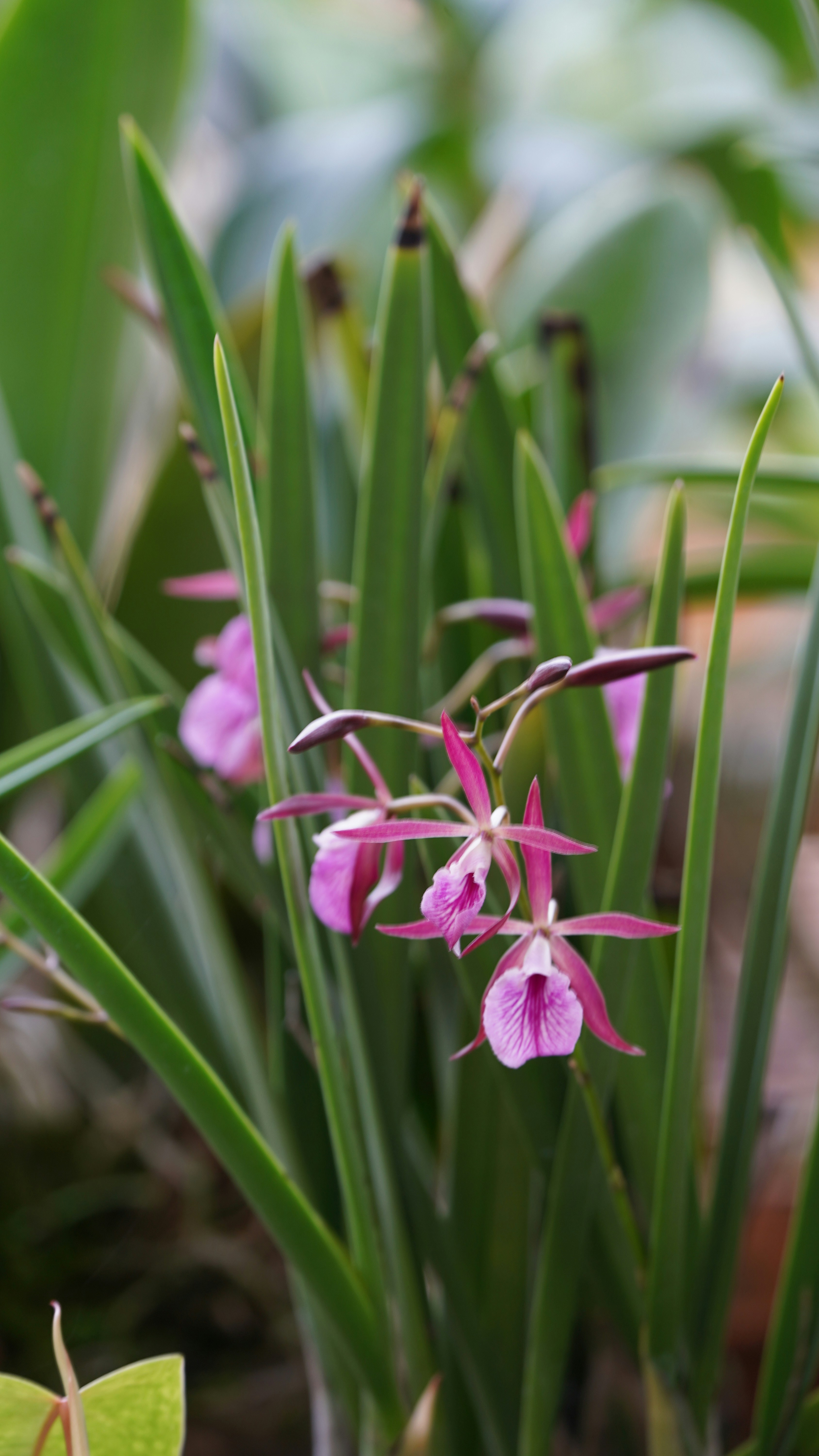 Photo by eka_kurniawan_muchiar