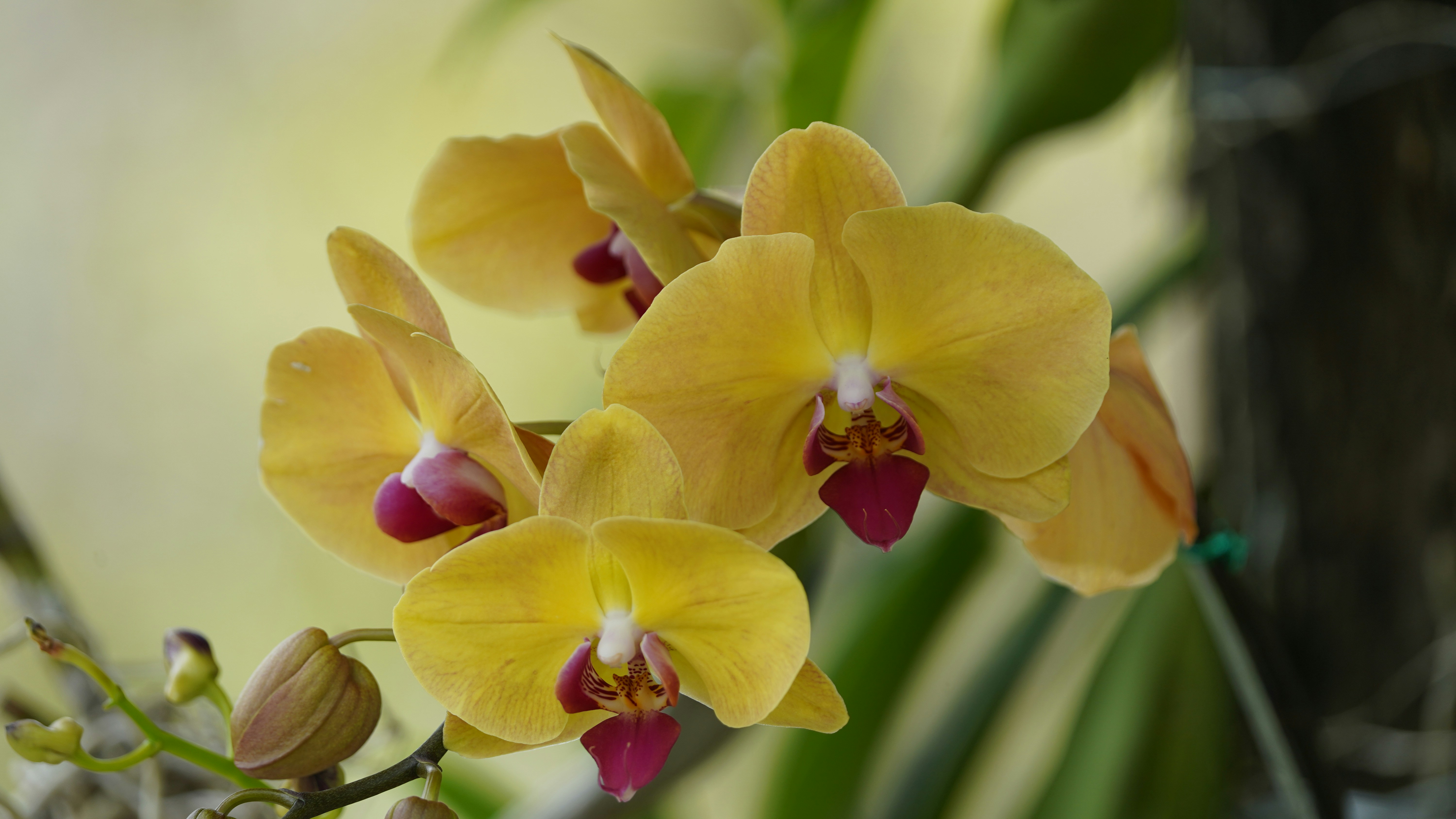 Photo by eka_kurniawan_muchiar