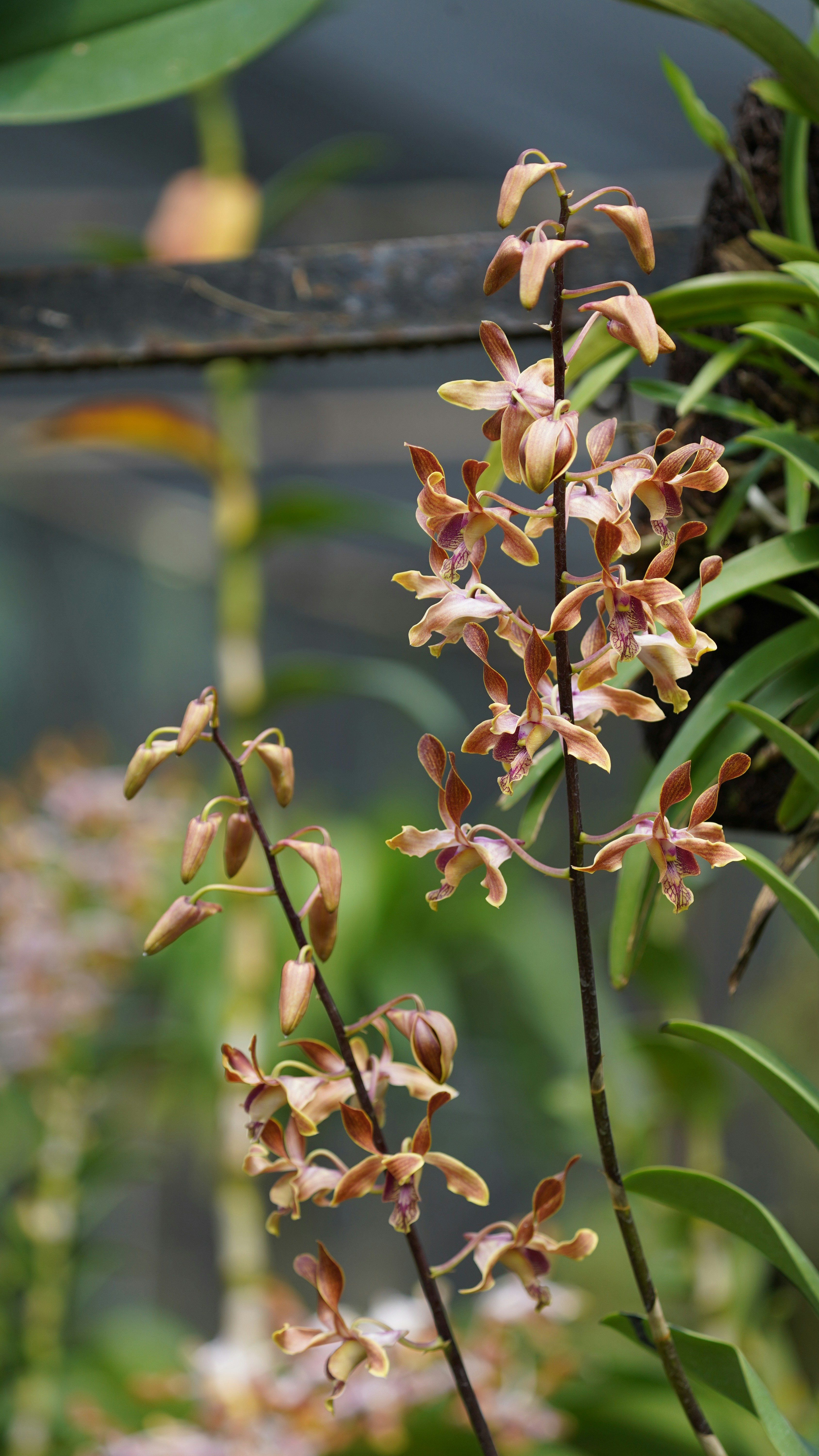 Photo by eka_kurniawan_muchiar