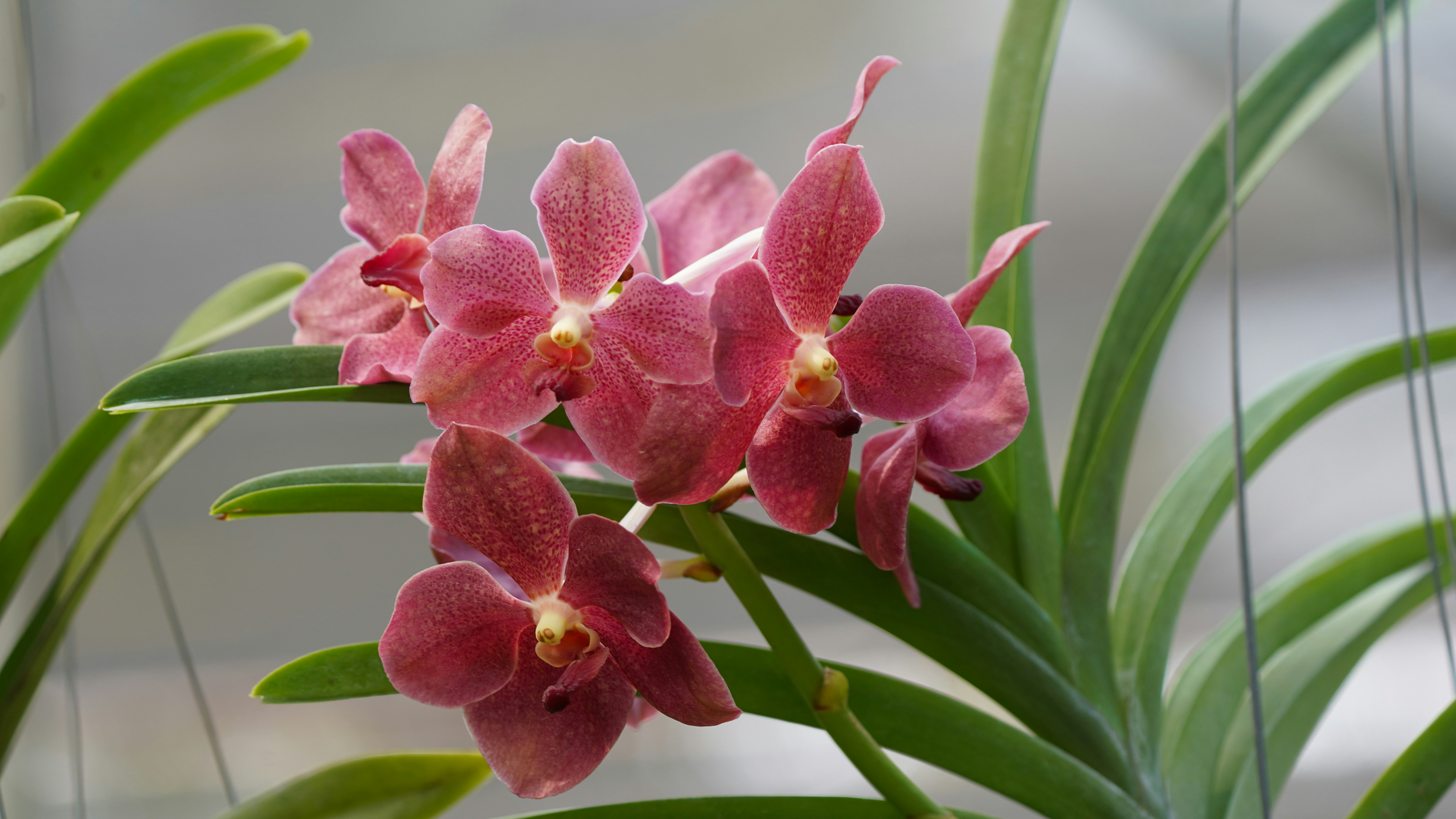 Photo by eka_kurniawan_muchiar