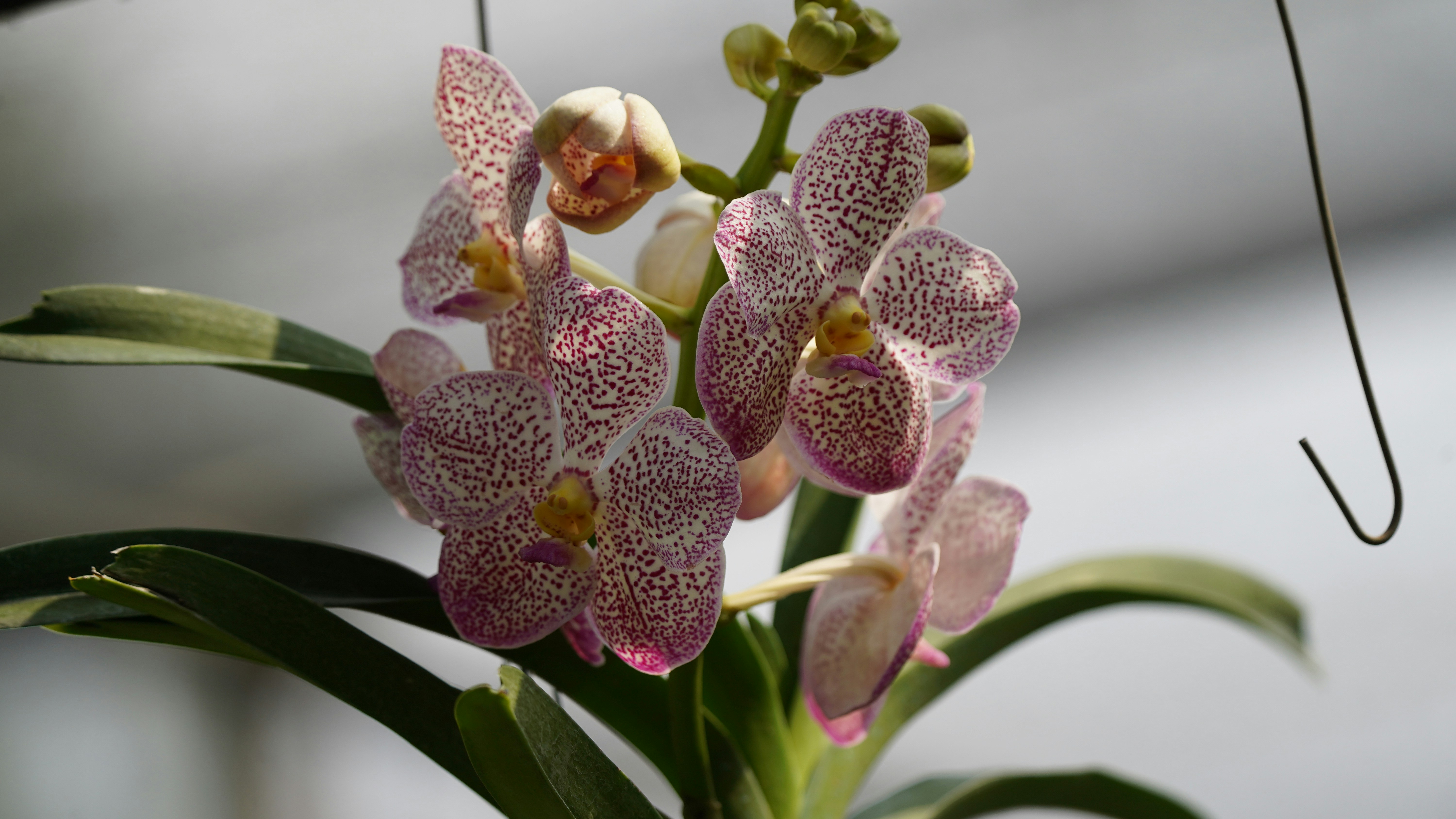 Photo by eka_kurniawan_muchiar