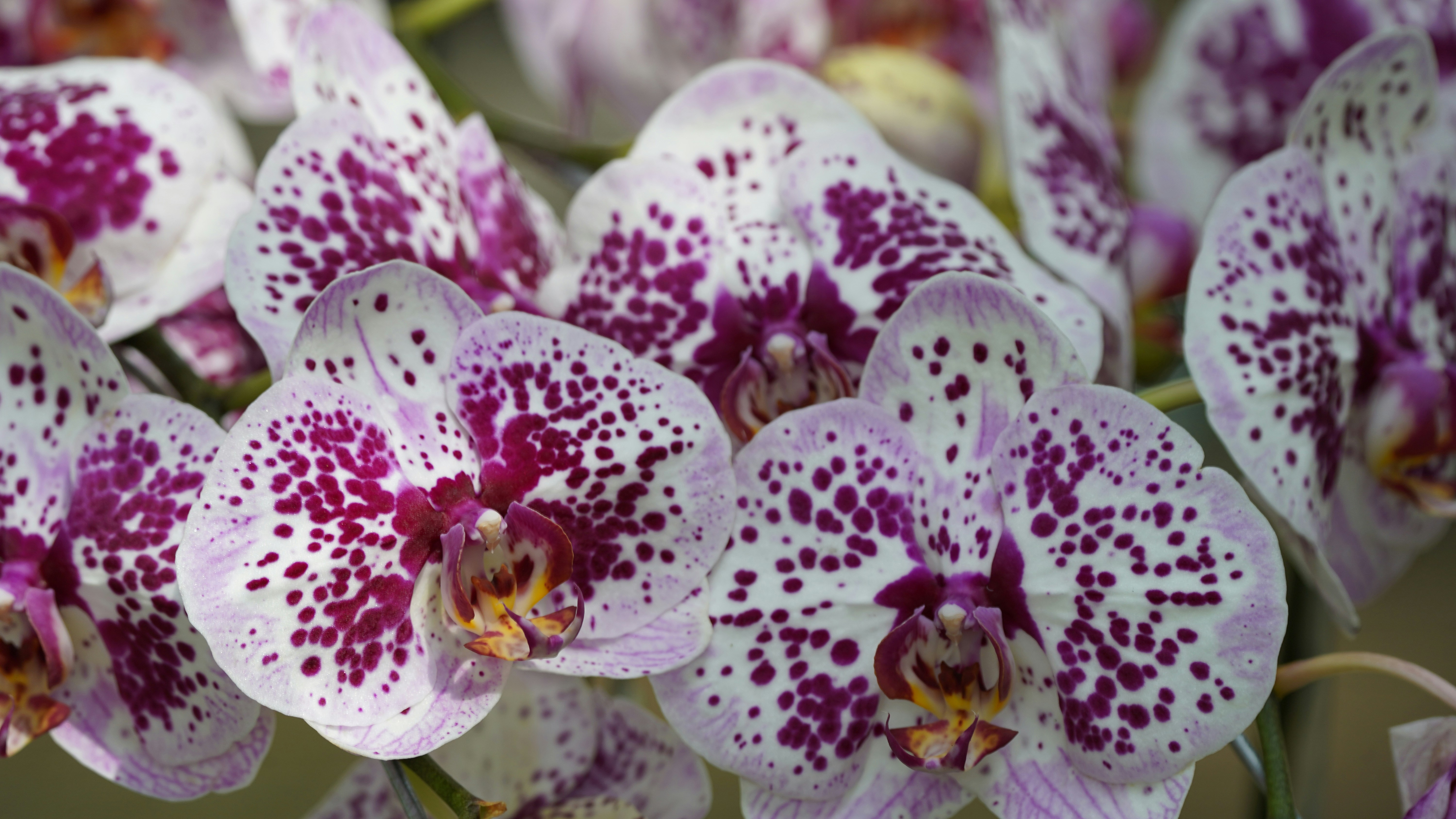 Photo by eka_kurniawan_muchiar