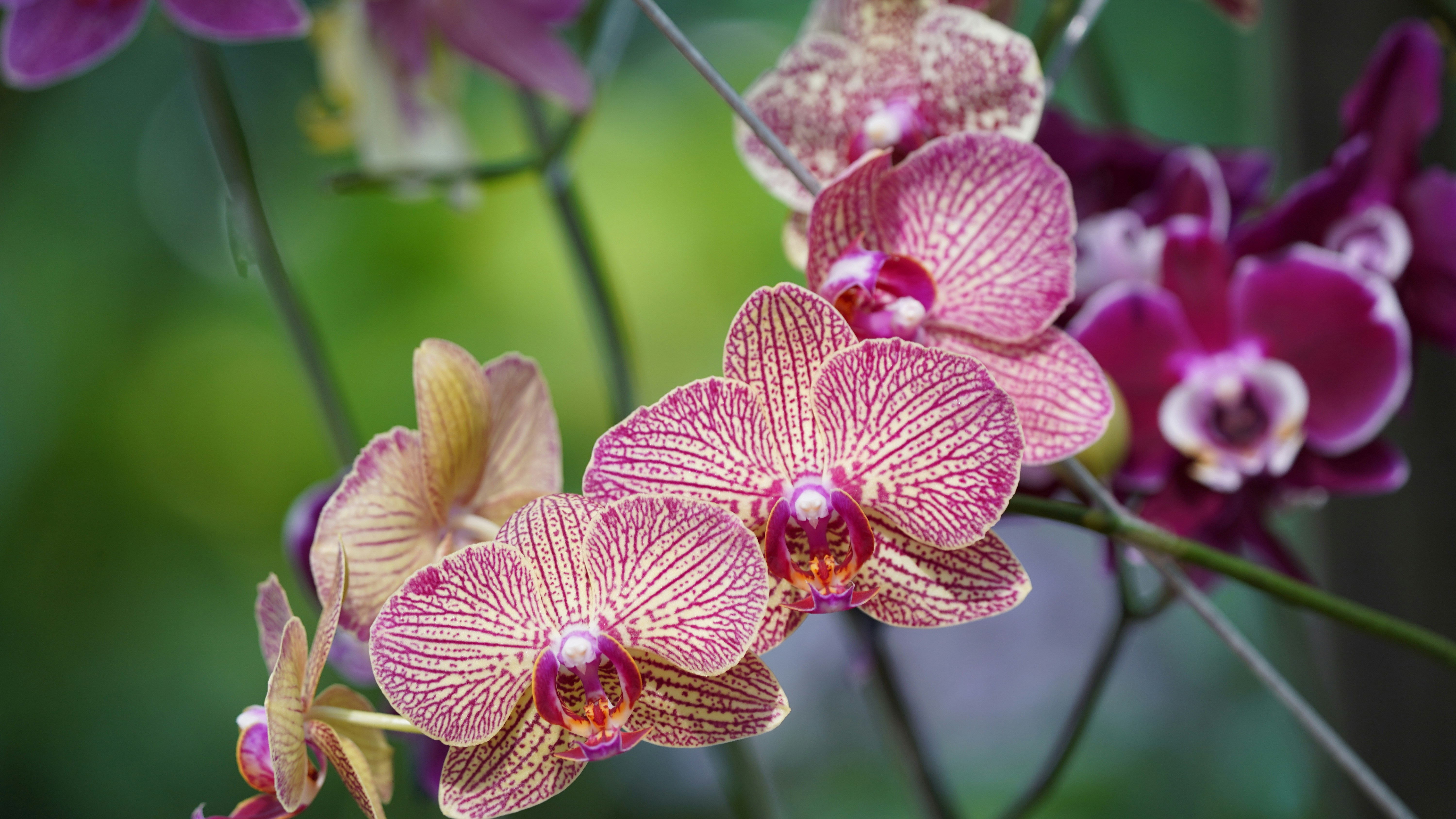 Photo by eka_kurniawan_muchiar