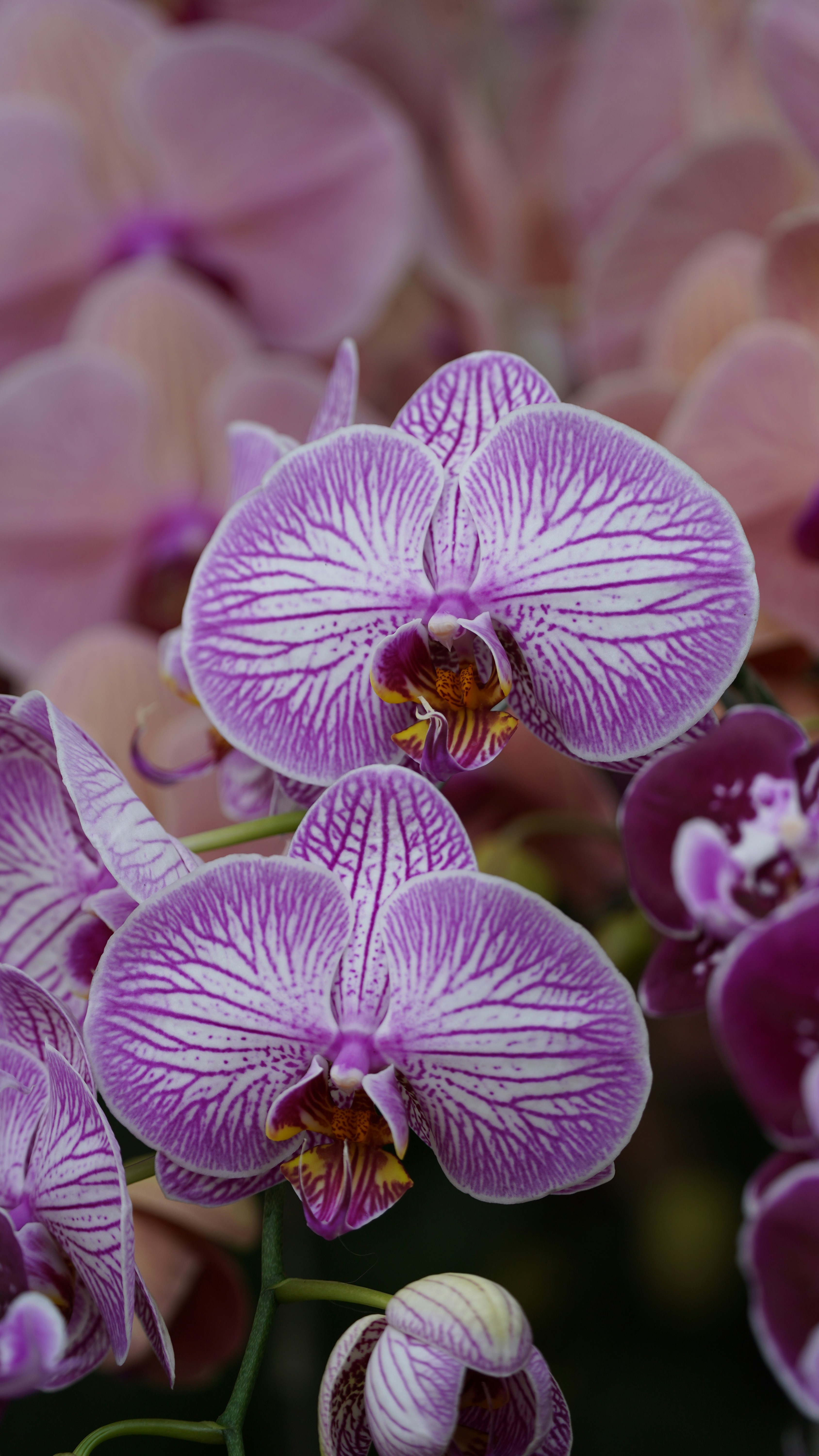 Photo by eka_kurniawan_muchiar