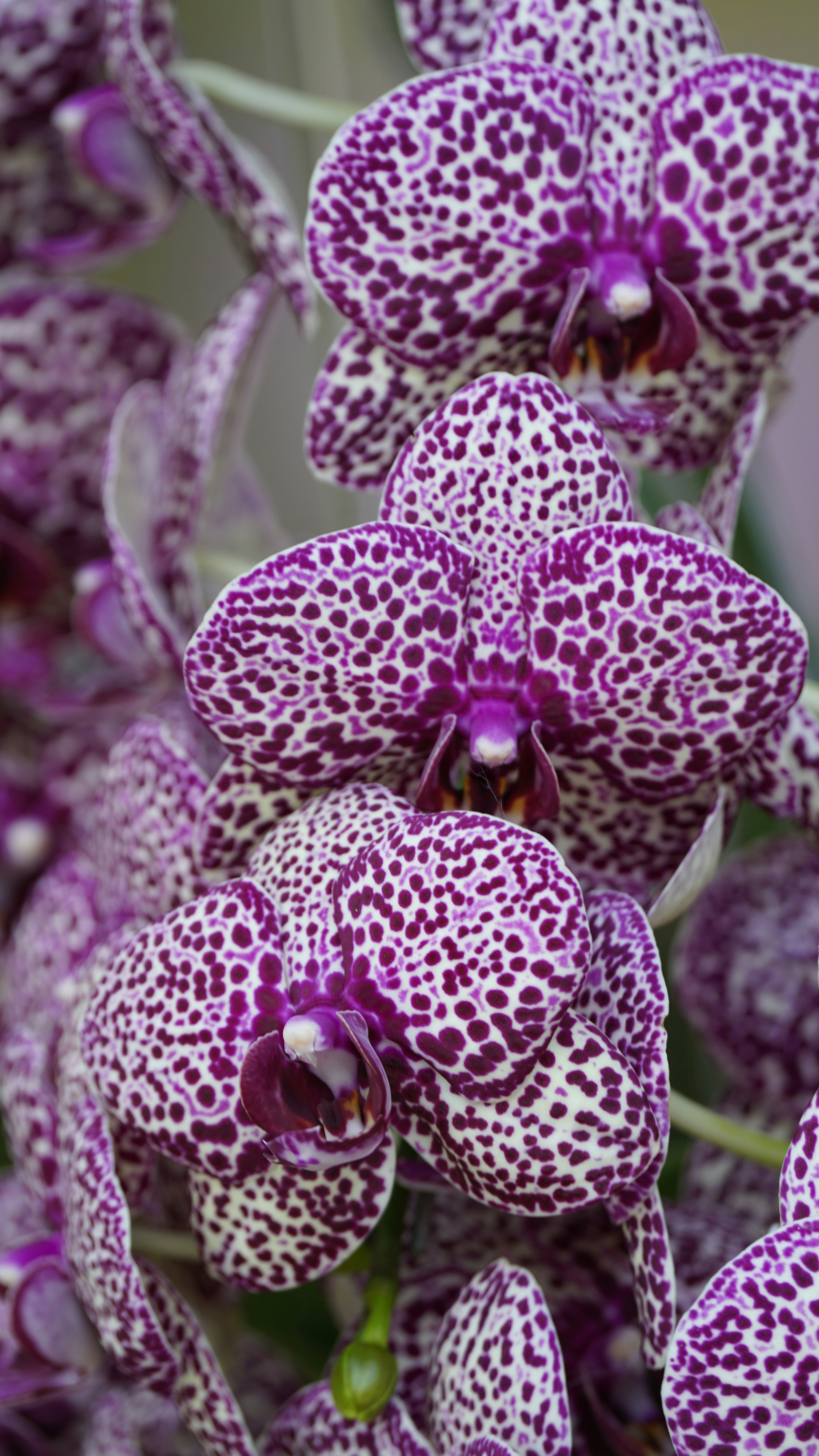 Photo by eka_kurniawan_muchiar