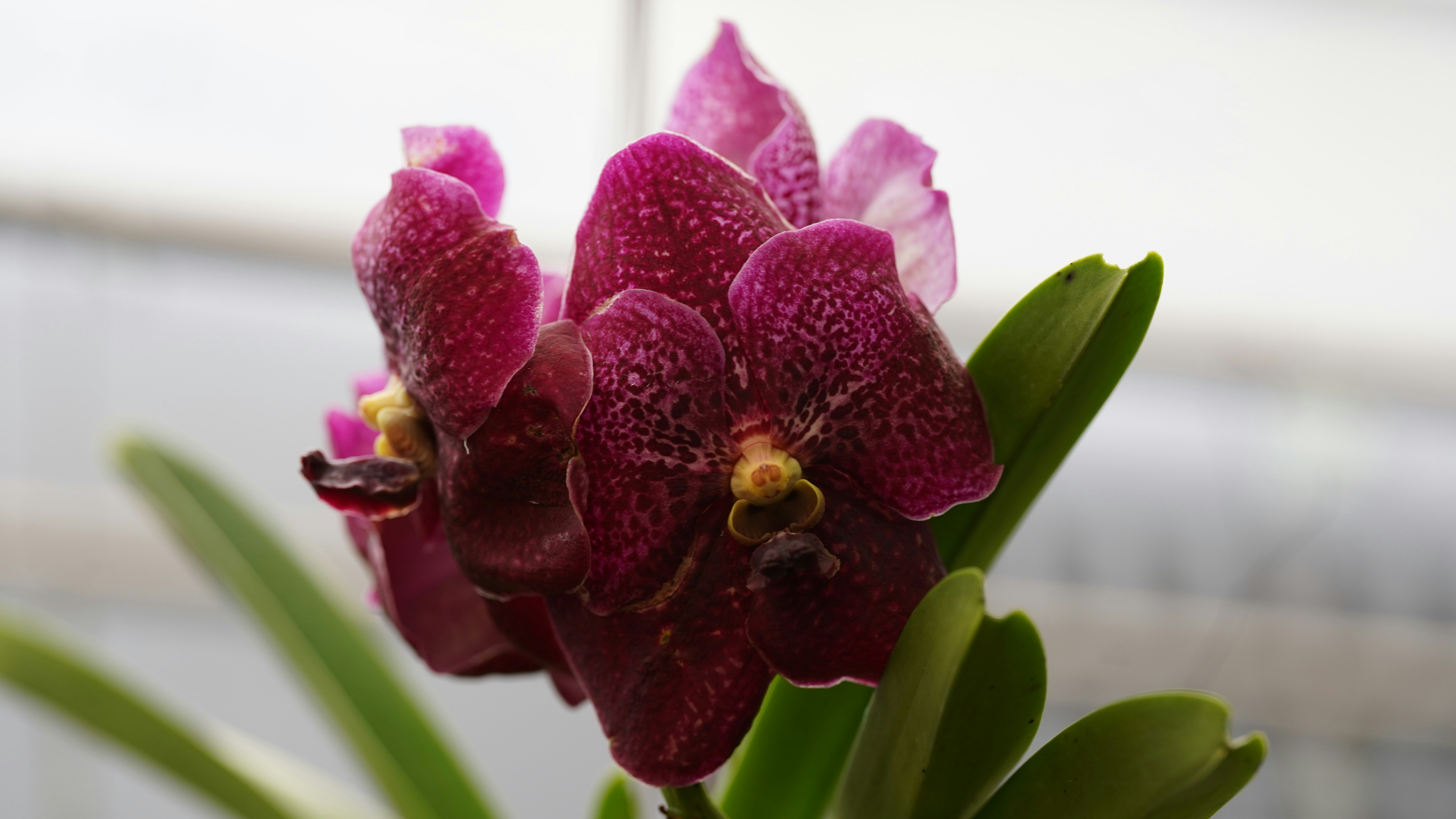 Photo by eka_kurniawan_muchiar