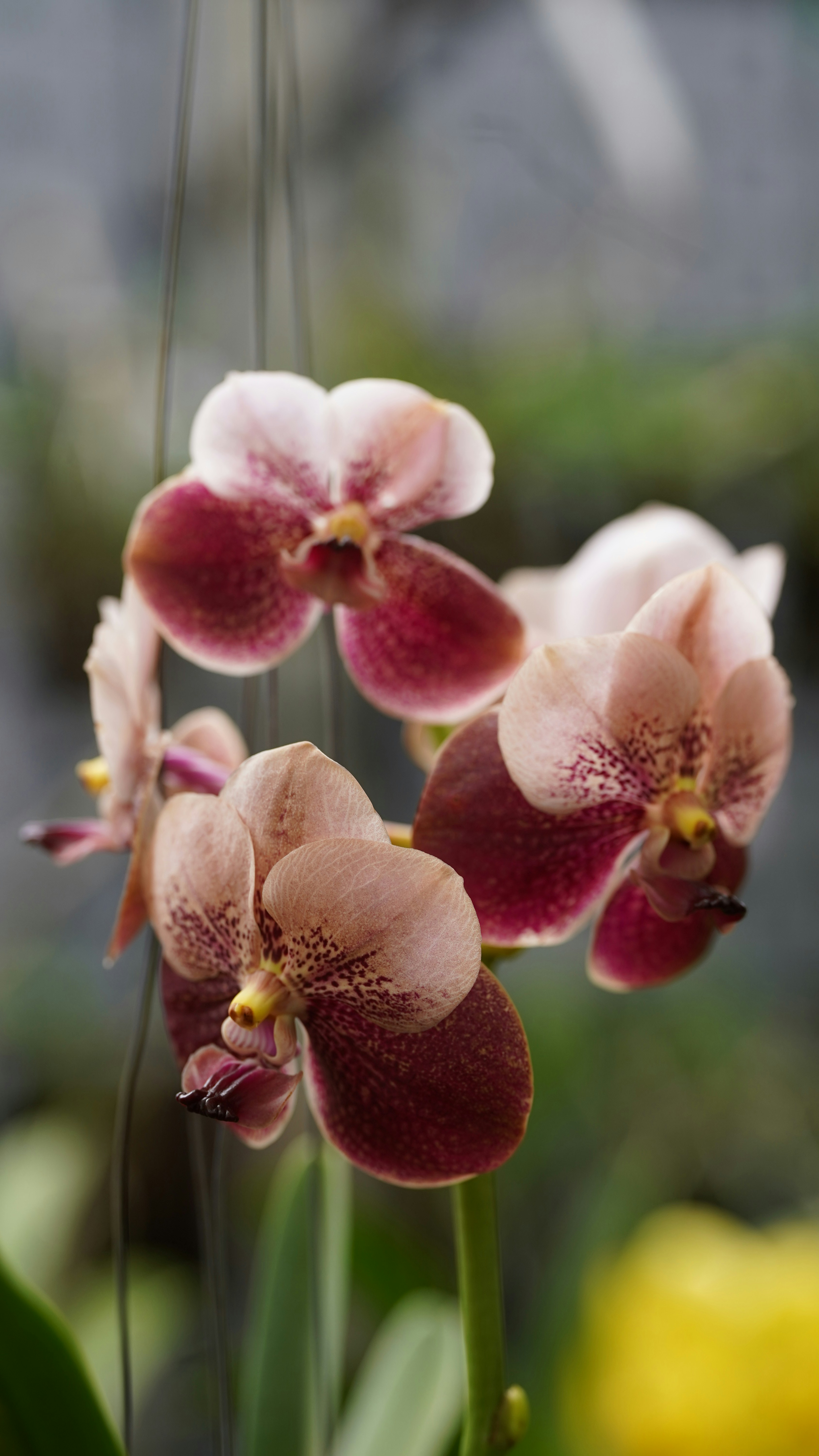 Photo by eka_kurniawan_muchiar