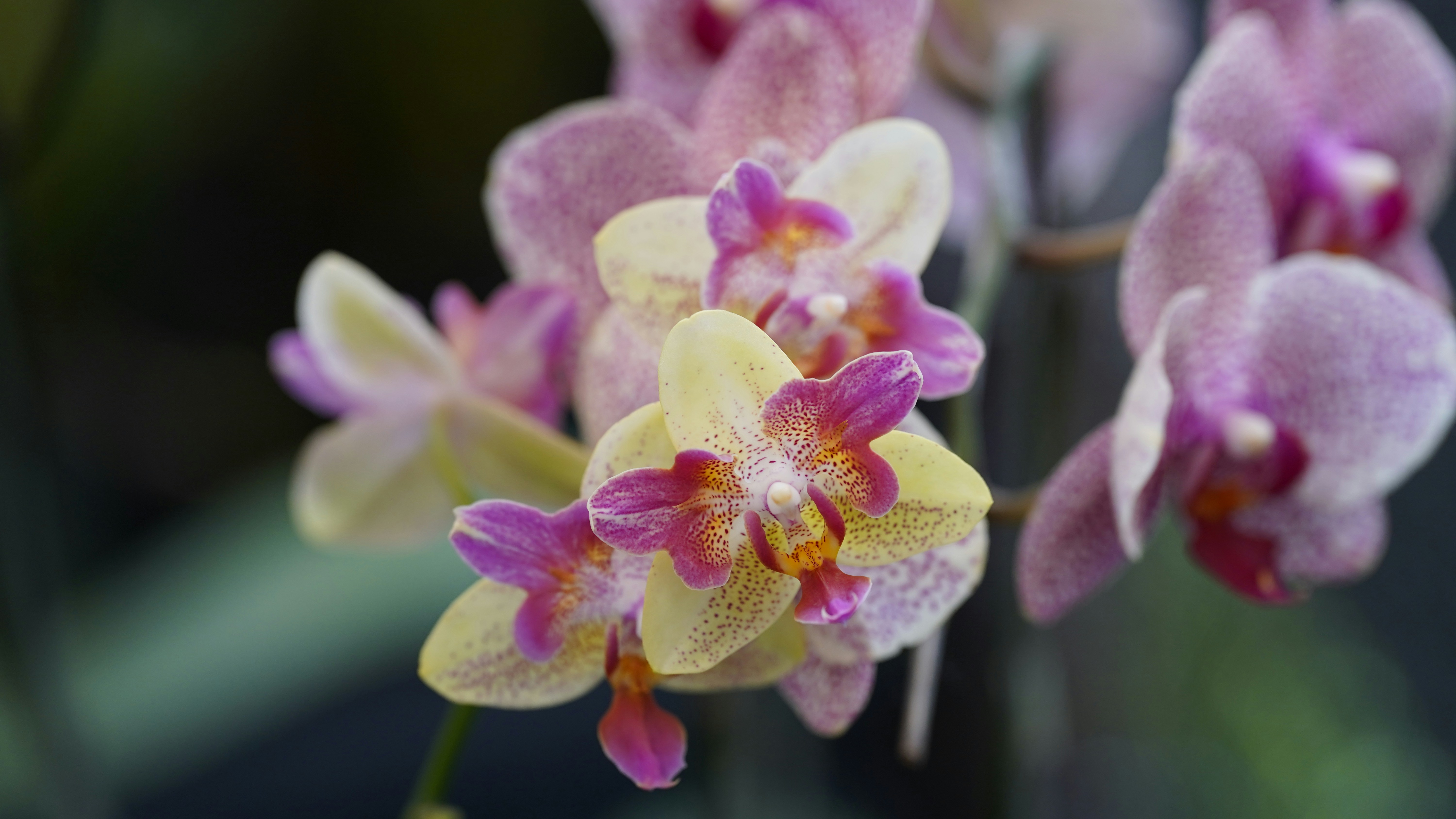 Photo by eka_kurniawan_muchiar