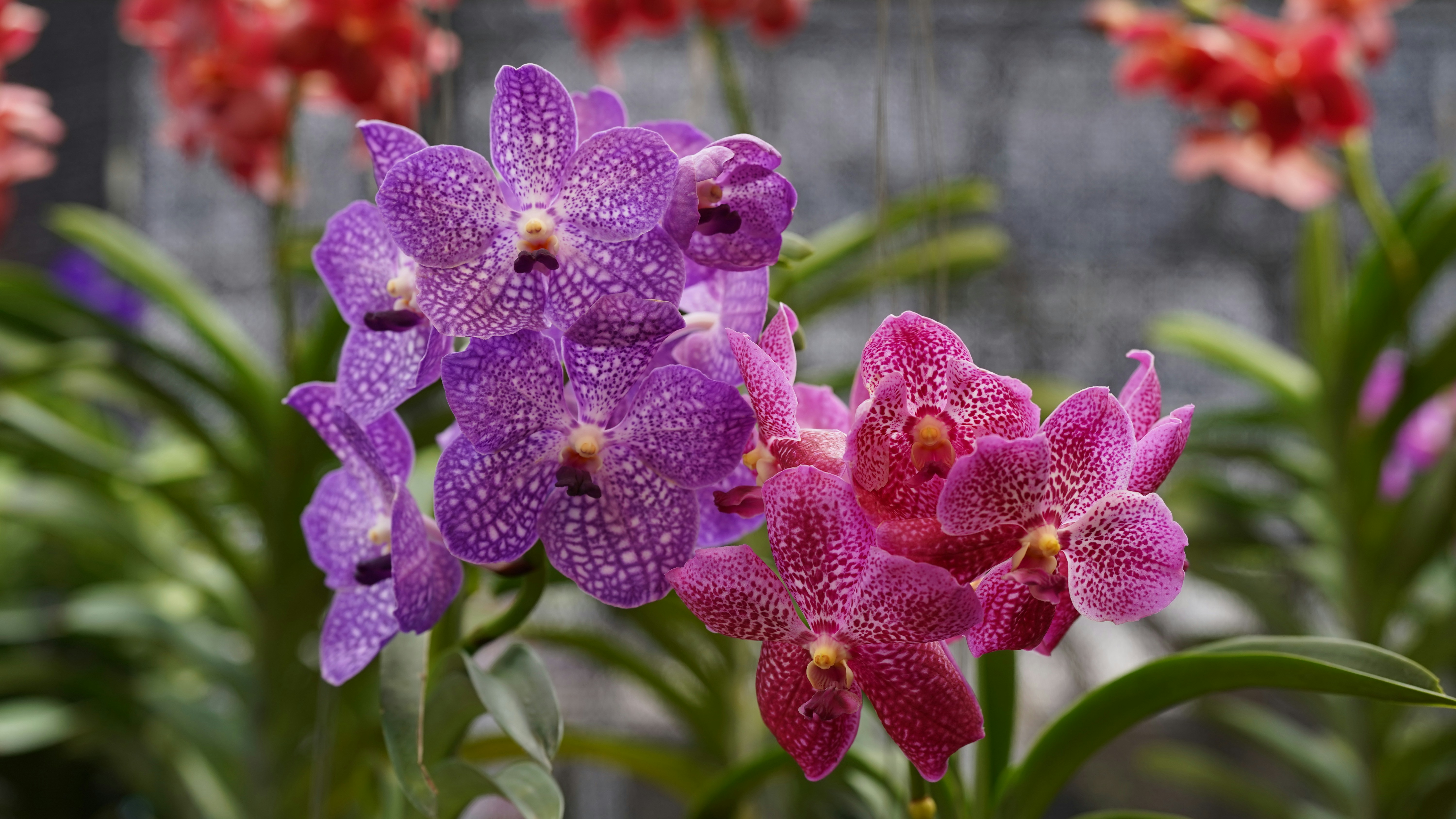 Photo by eka_kurniawan_muchiar