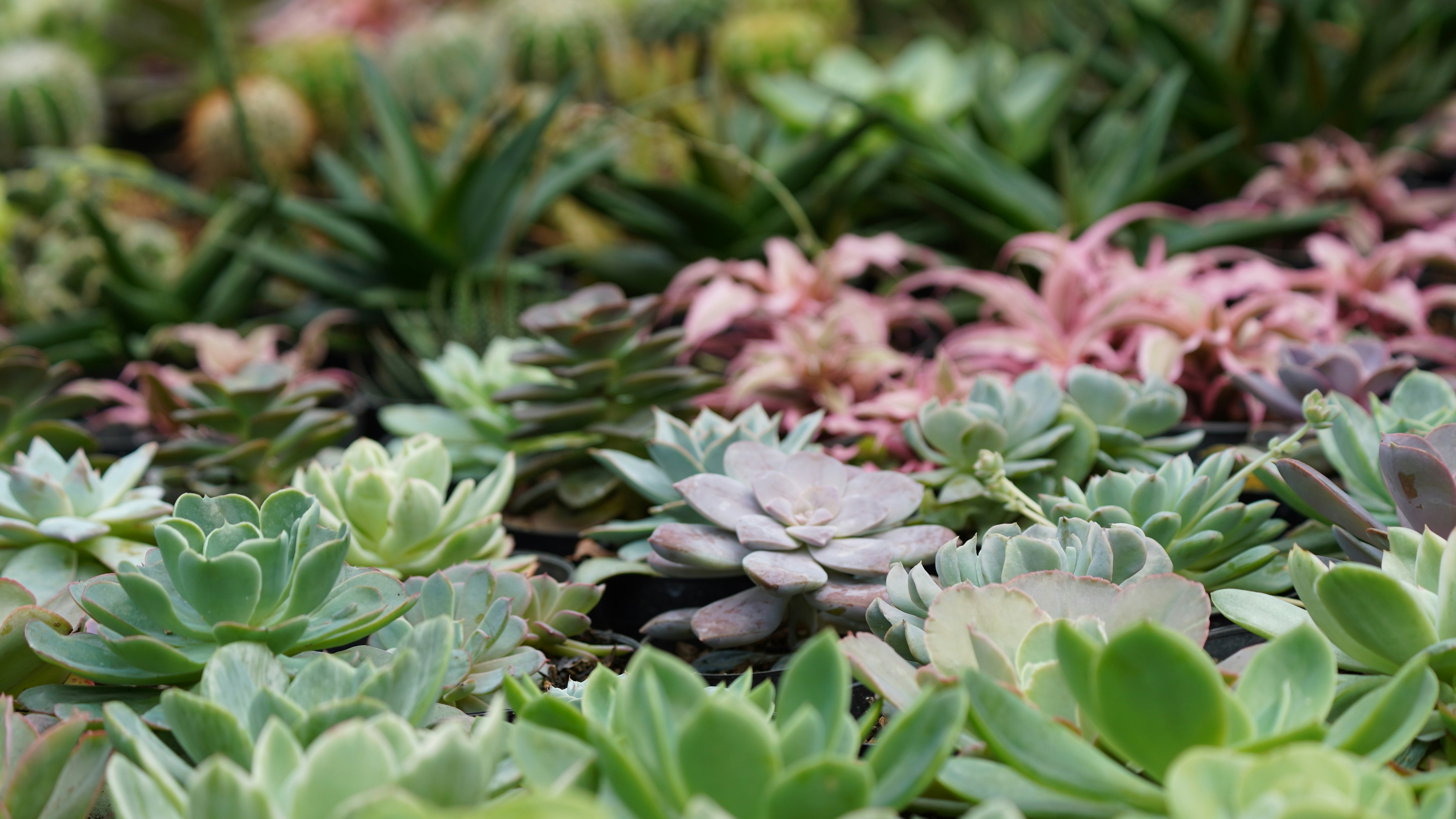 Post‑Purchase Resilience: Digital Wills, Home Tech Inventories and Insurance Strategies for UK Buyers in 2026