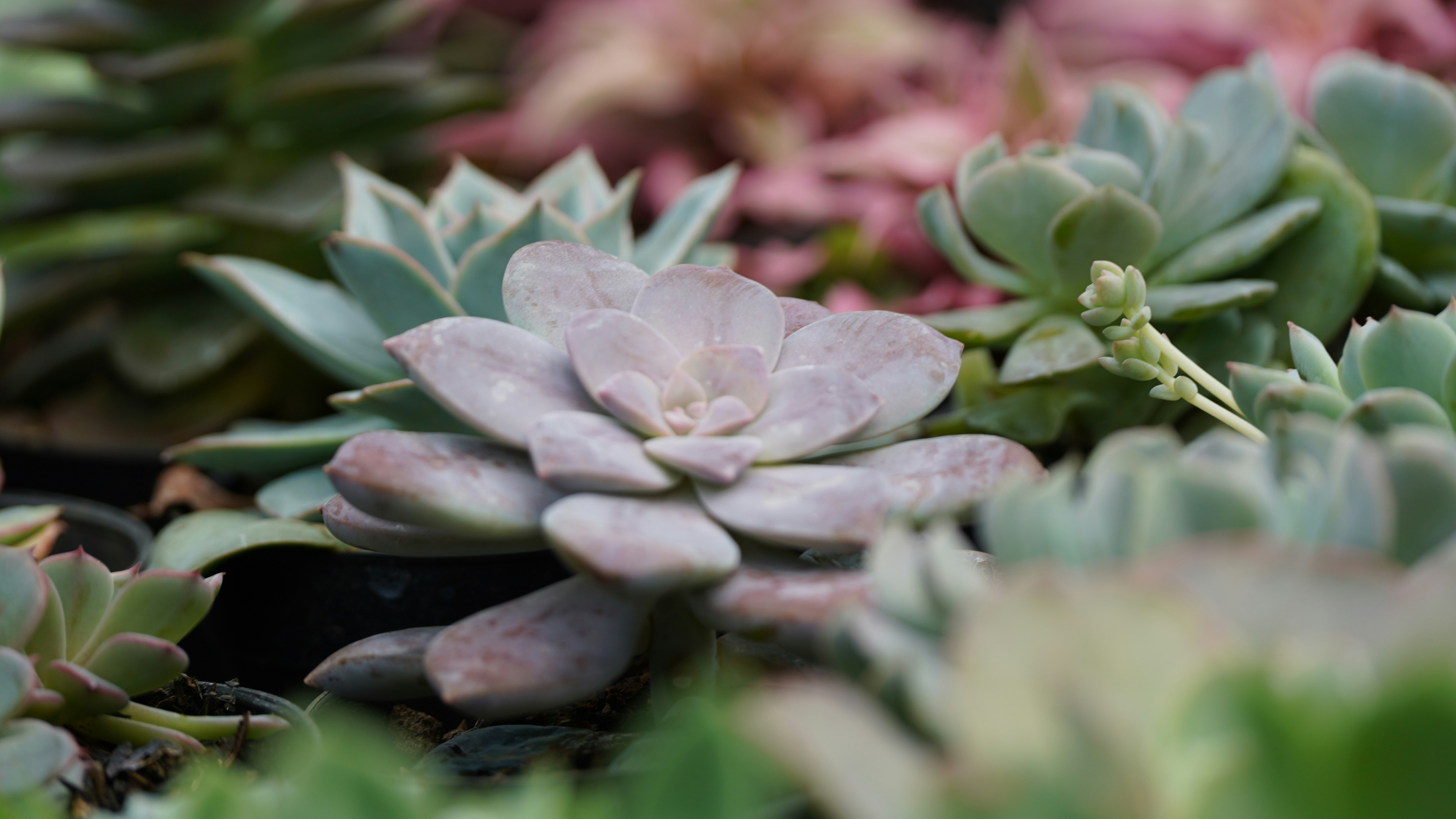 Post‑Purchase Care for At‑Home Medical Devices in 2026: Returns, Firmware, and Trust‑First Support