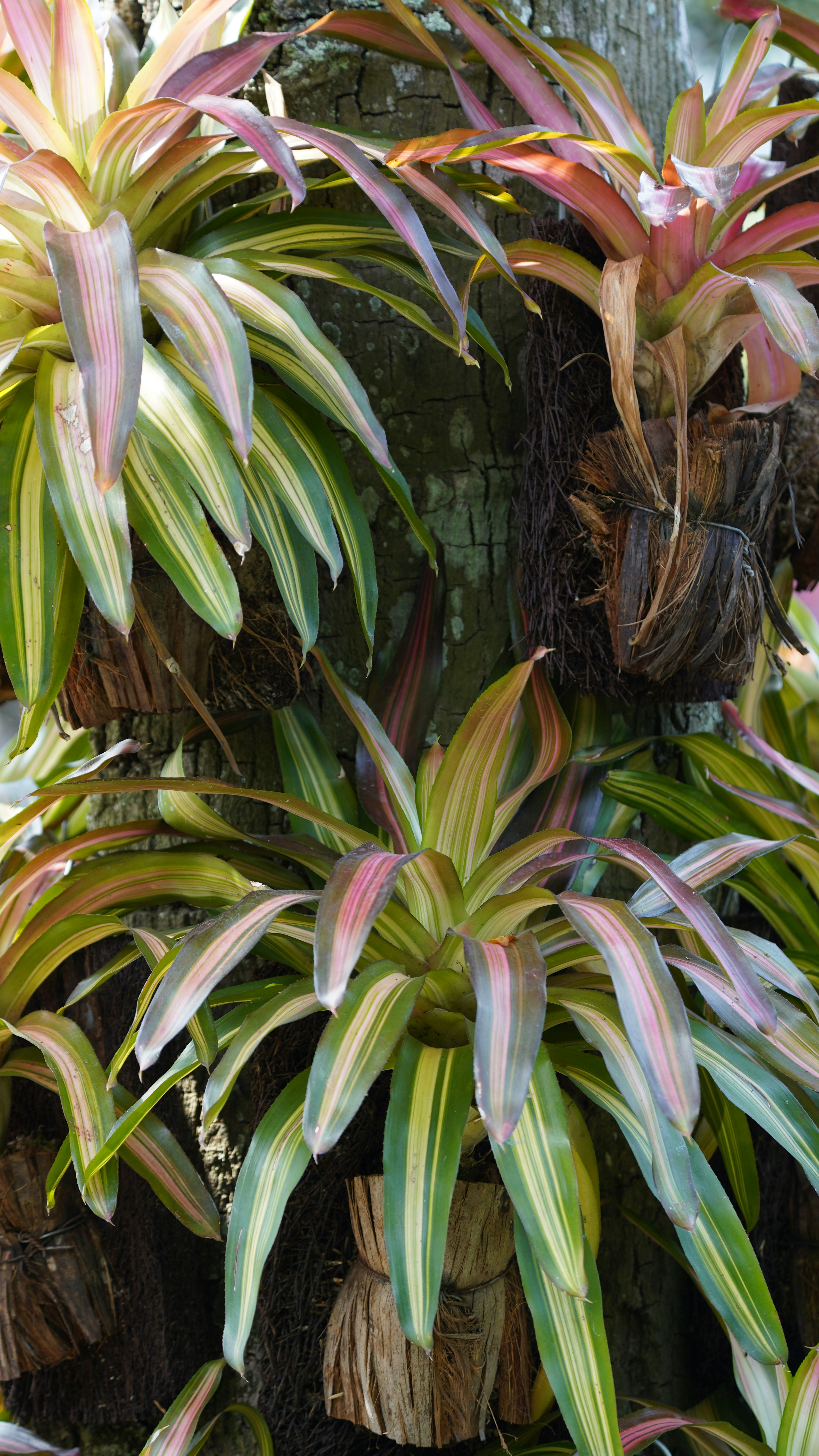 Photo by eka_kurniawan_muchiar