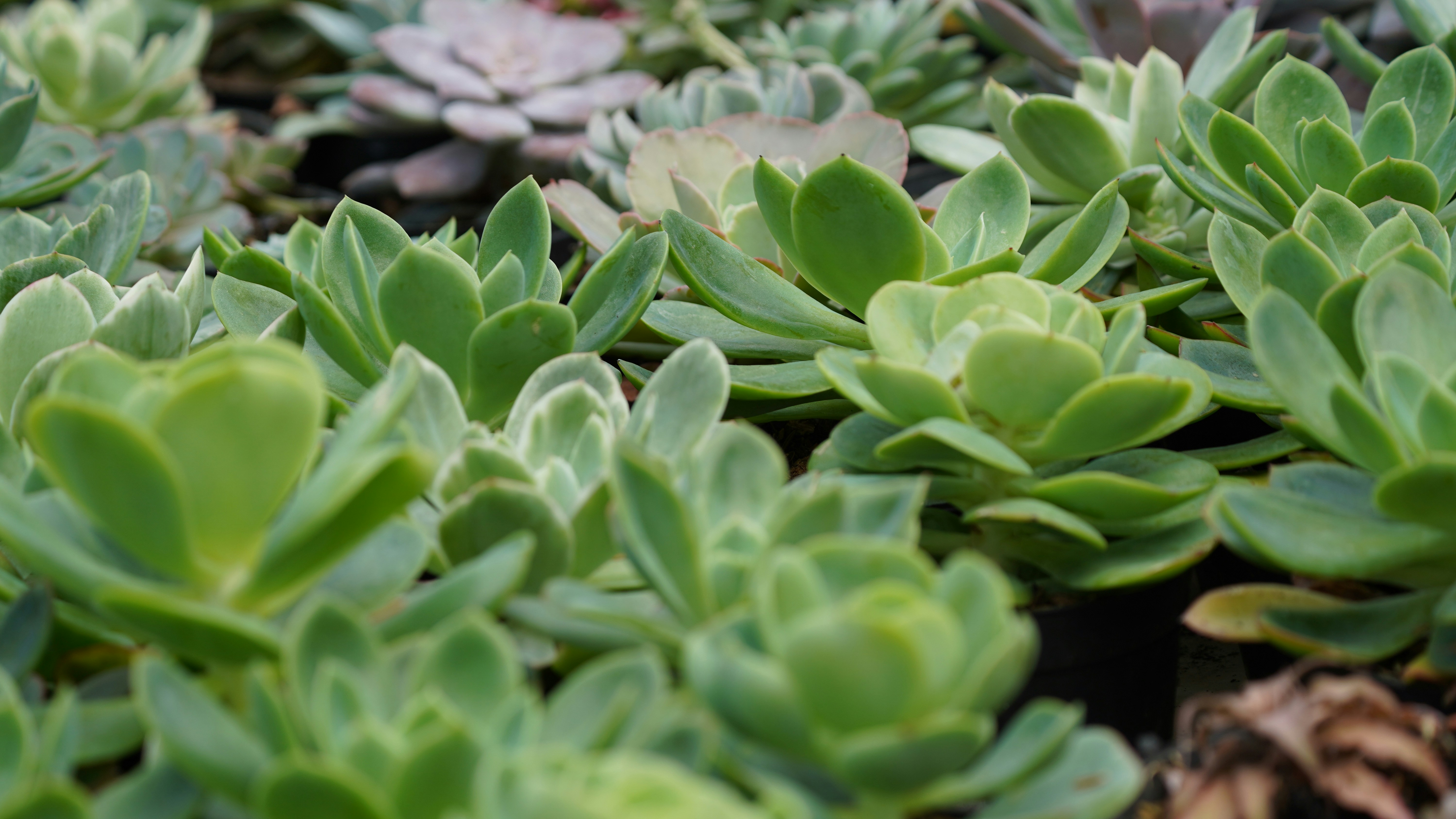 Photo by eka_kurniawan_muchiar