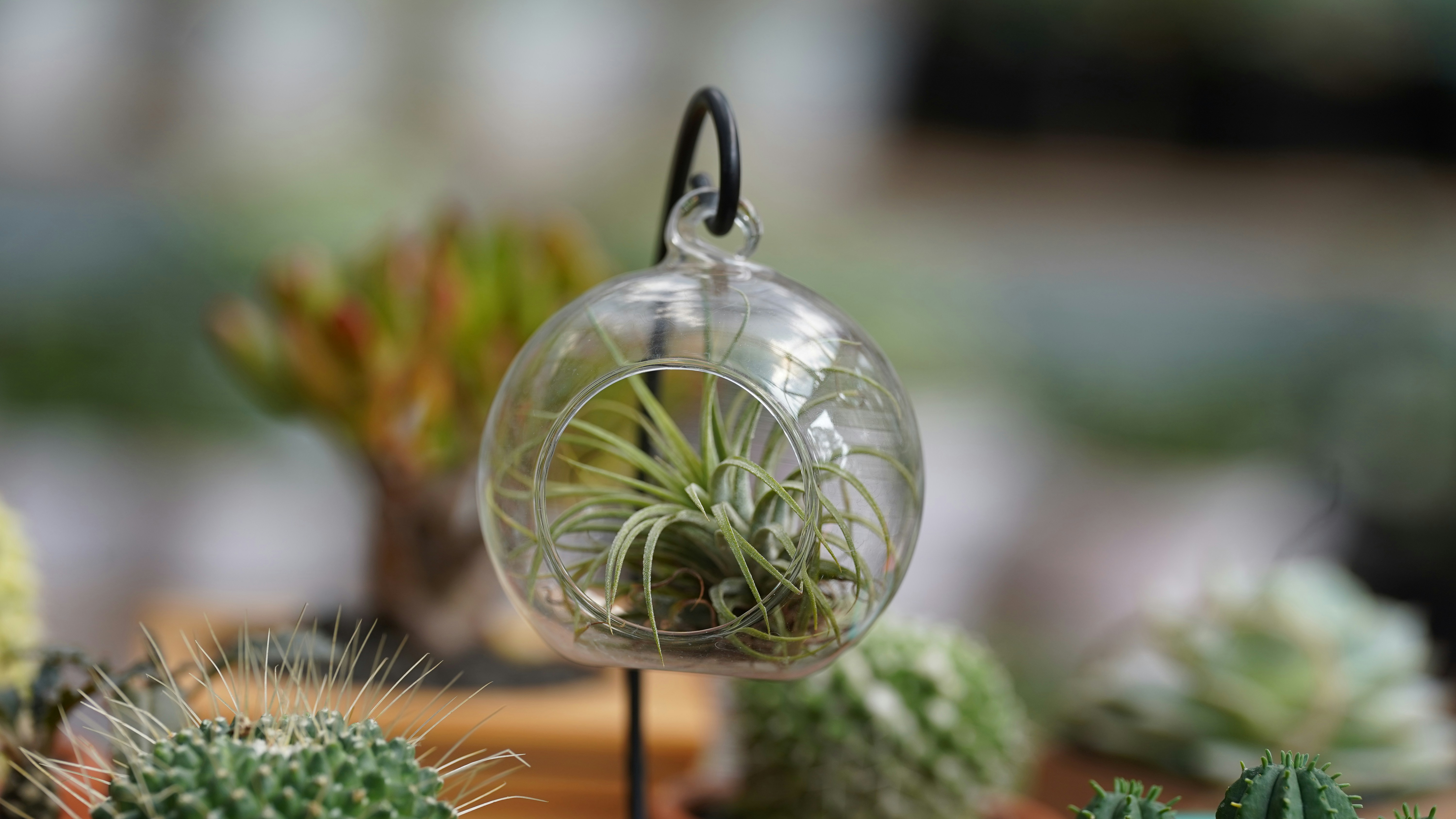 Photo by eka_kurniawan_muchiar