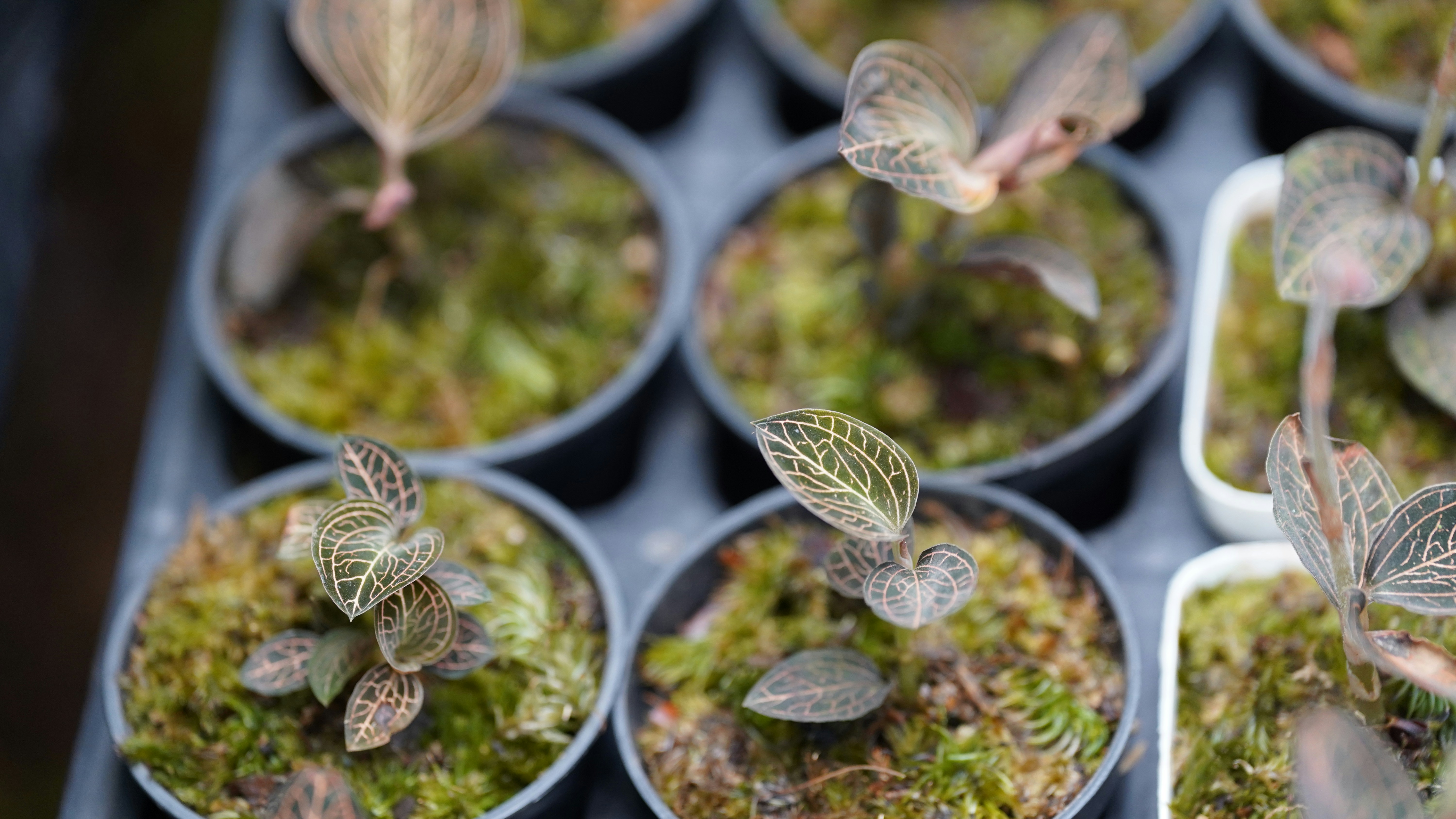 Photo by eka_kurniawan_muchiar