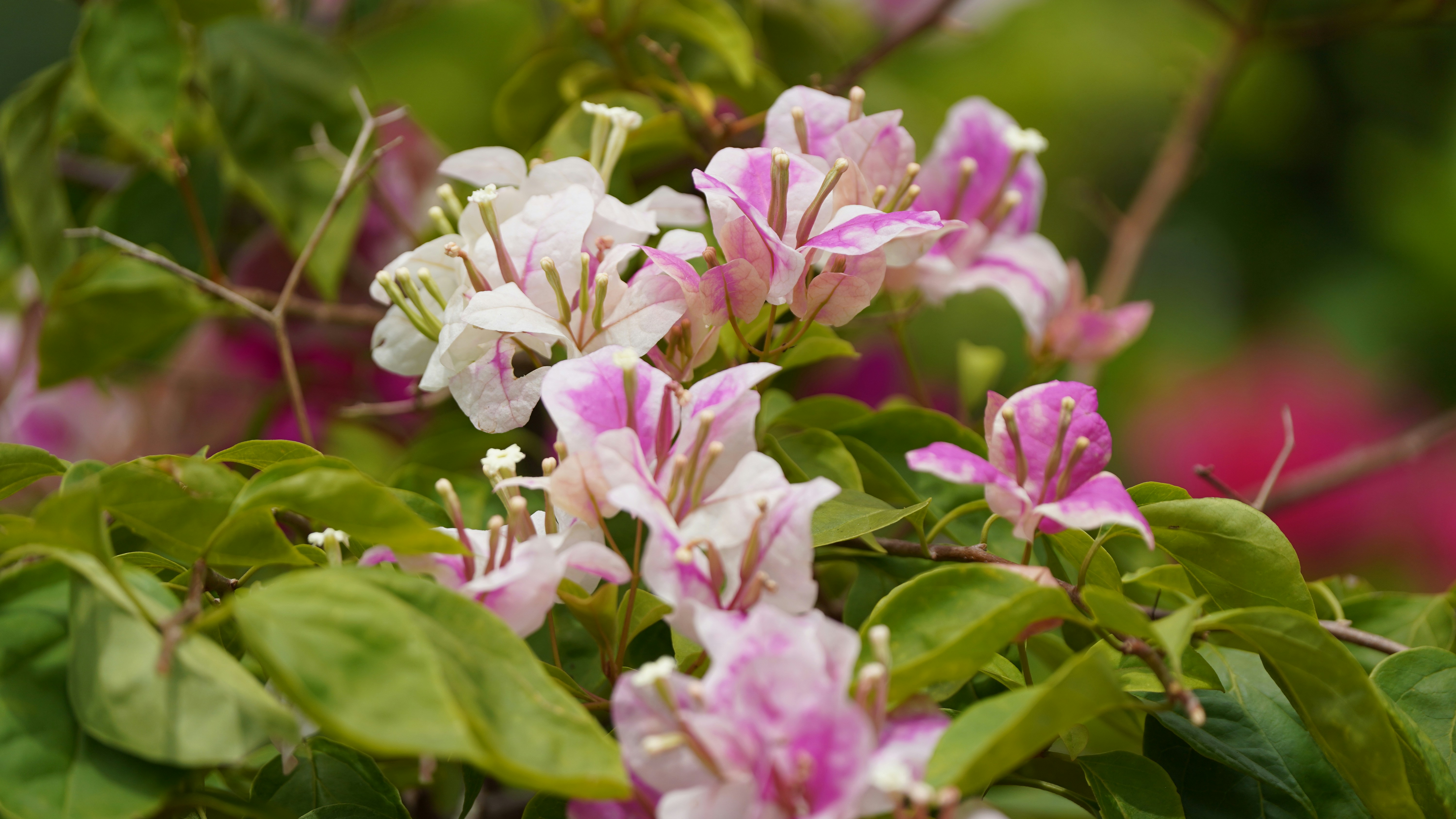 Photo by eka_kurniawan_muchiar