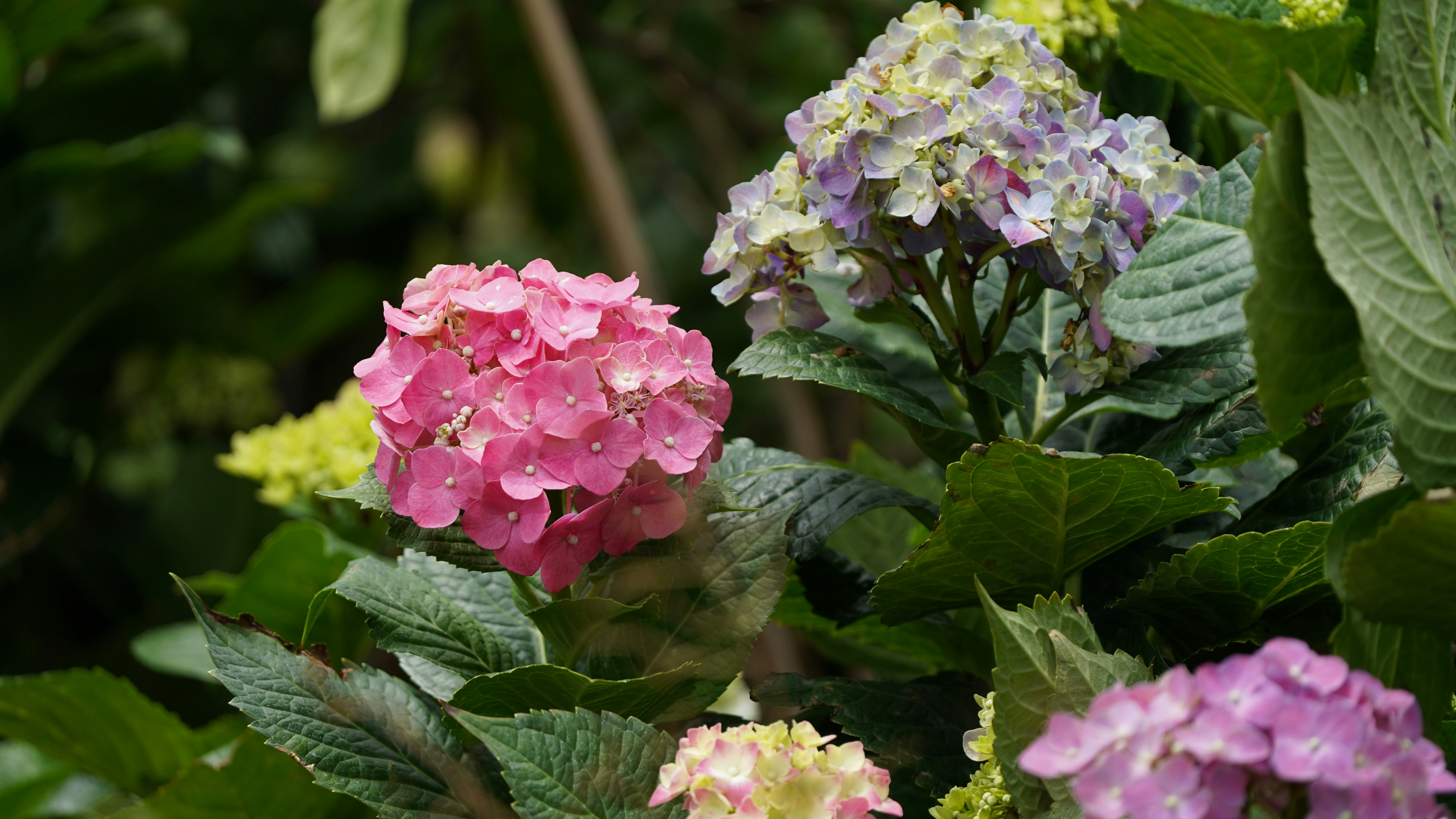 Step by step tutorial