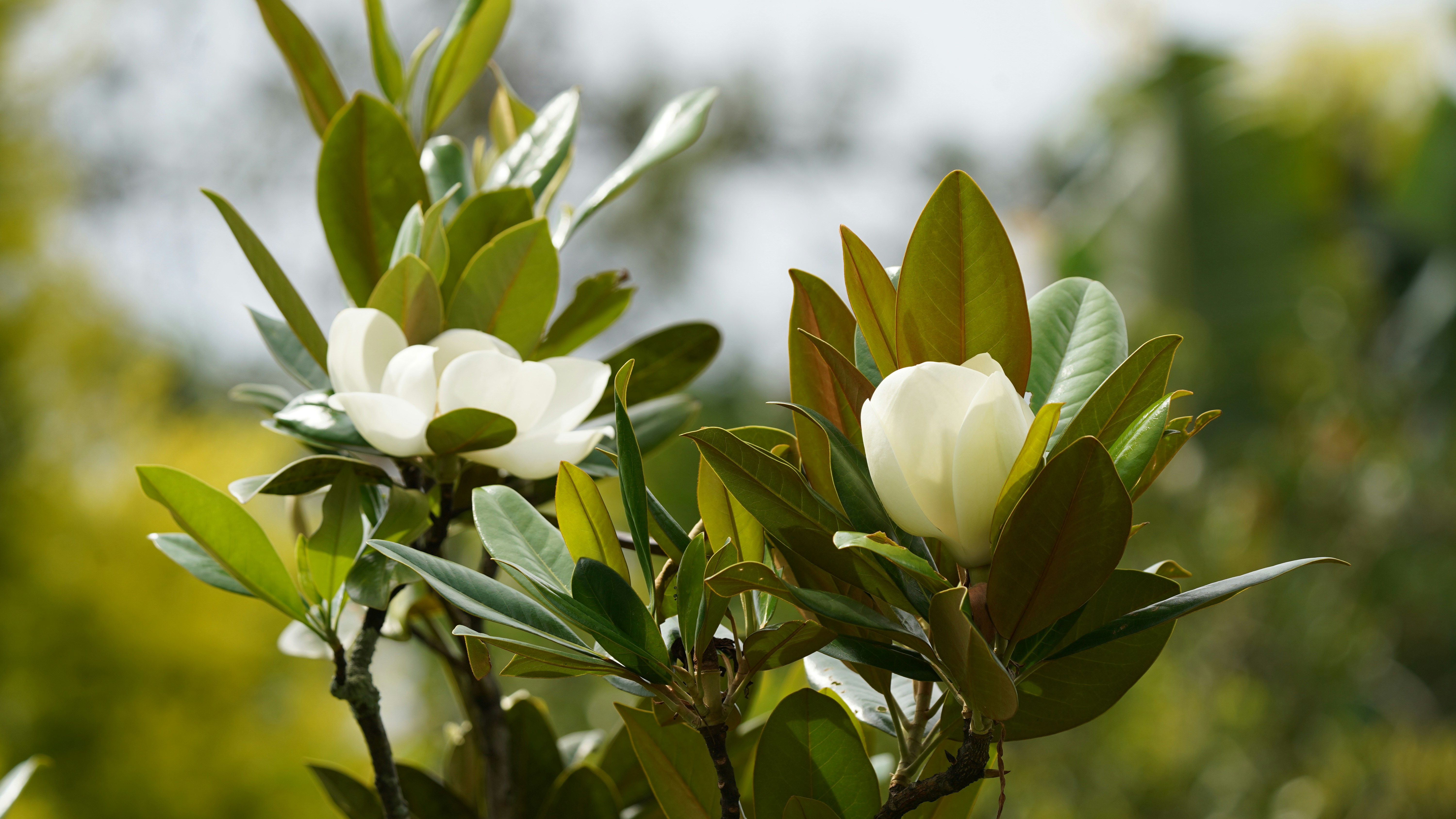 Photo by eka_kurniawan_muchiar