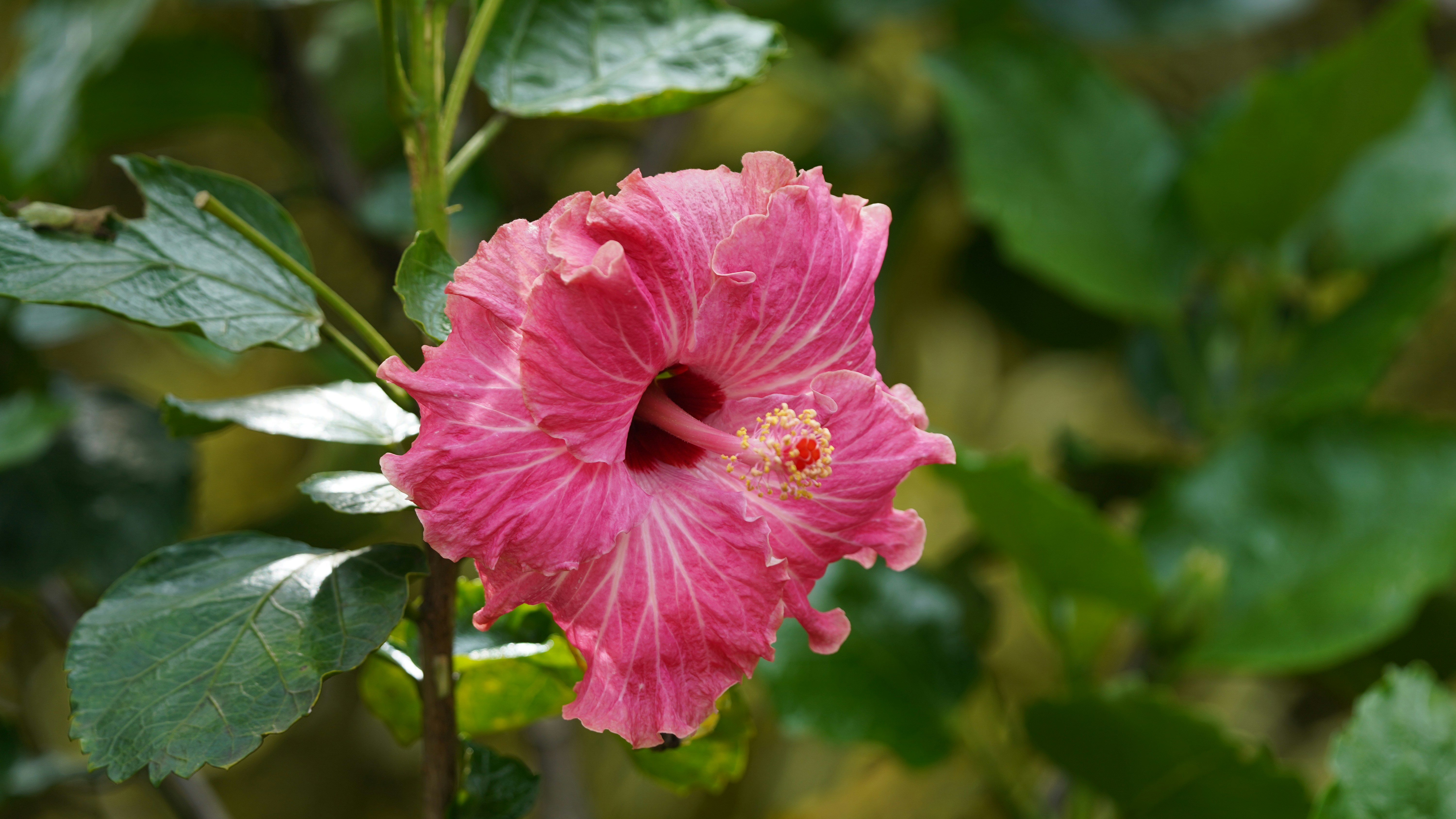 Photo by eka_kurniawan_muchiar