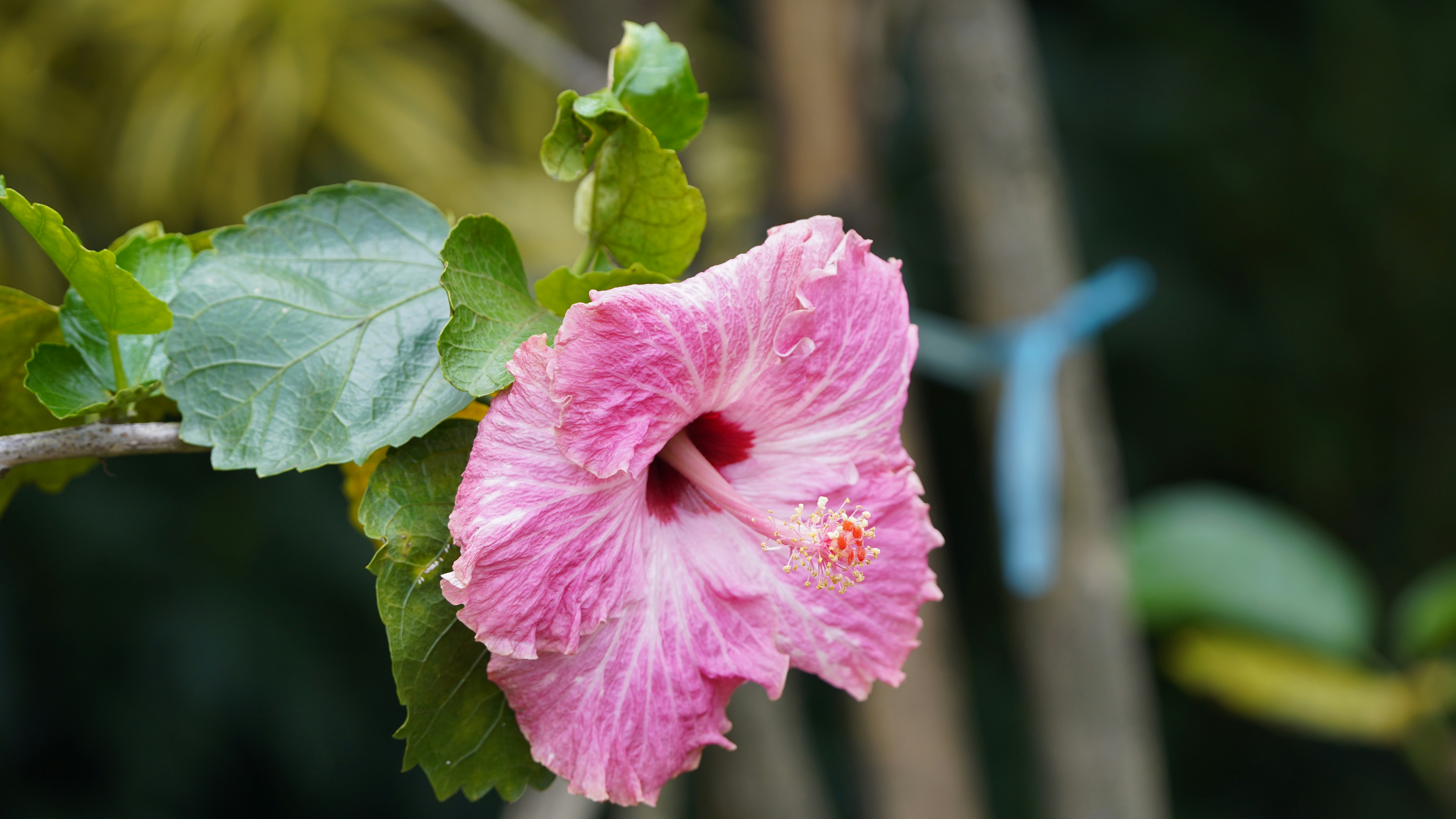 Photo by eka_kurniawan_muchiar