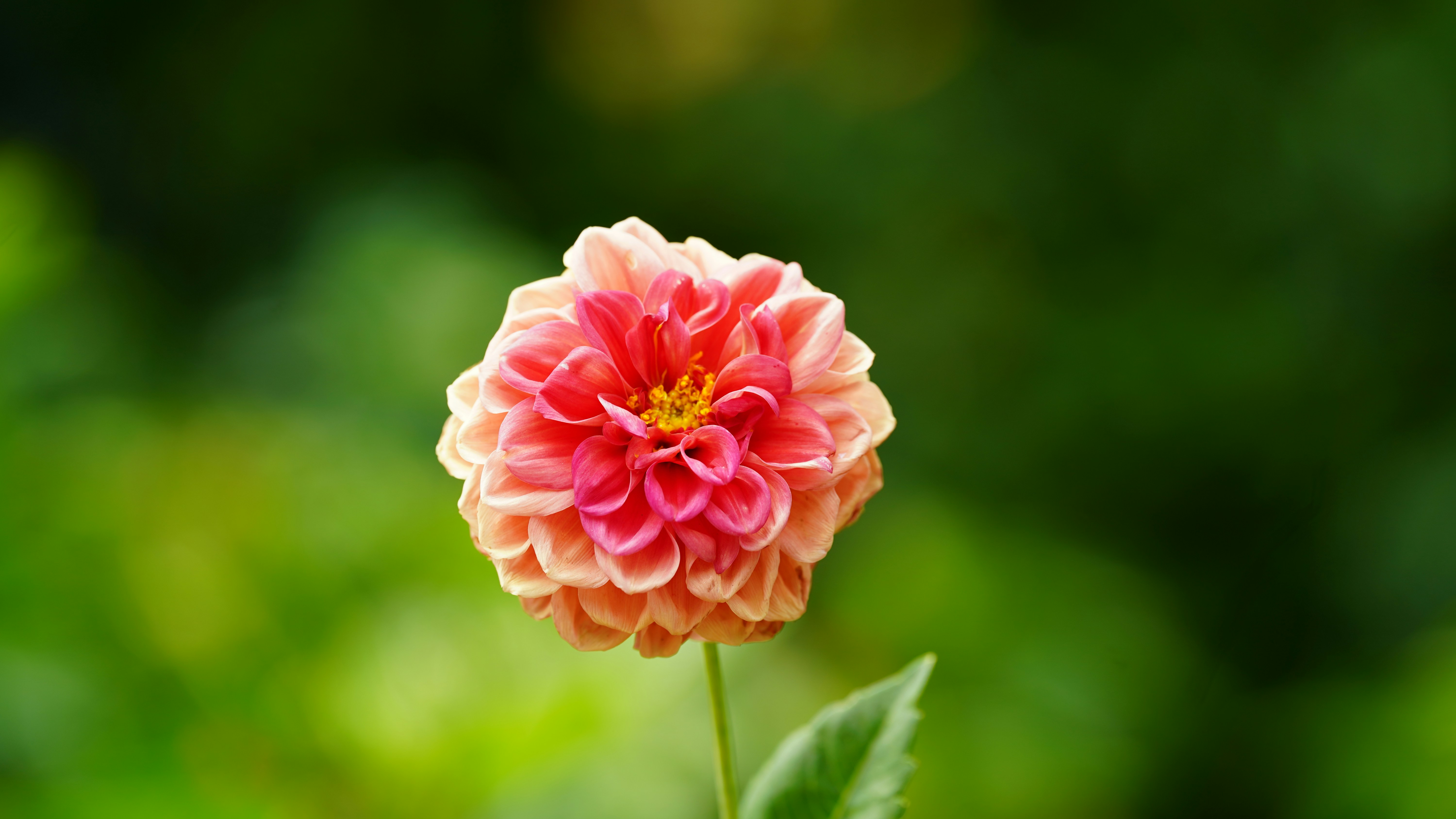 Photo by eka_kurniawan_muchiar