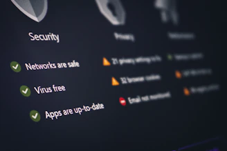A security and privacy dashboard with its status.