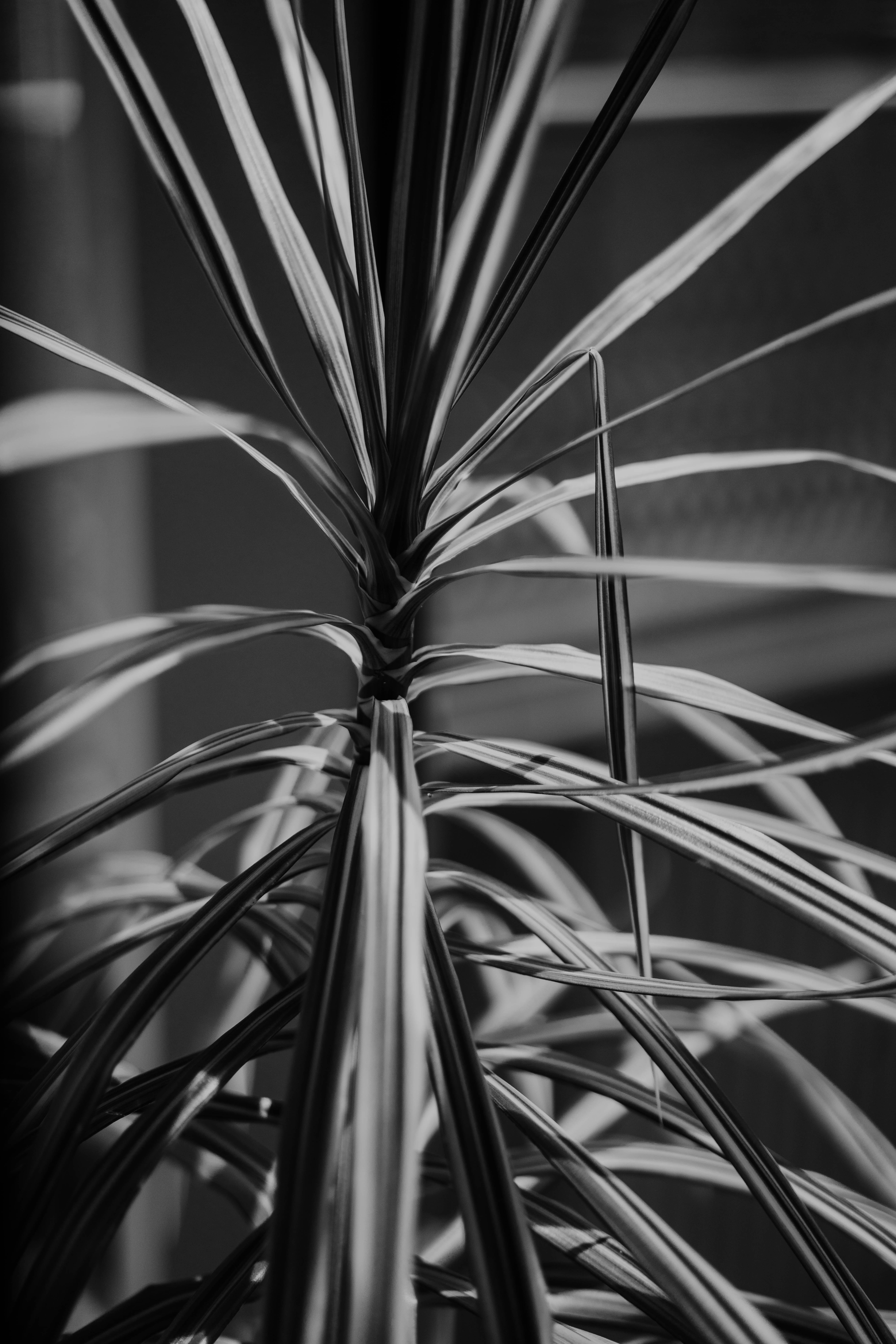 Photo by philhearing