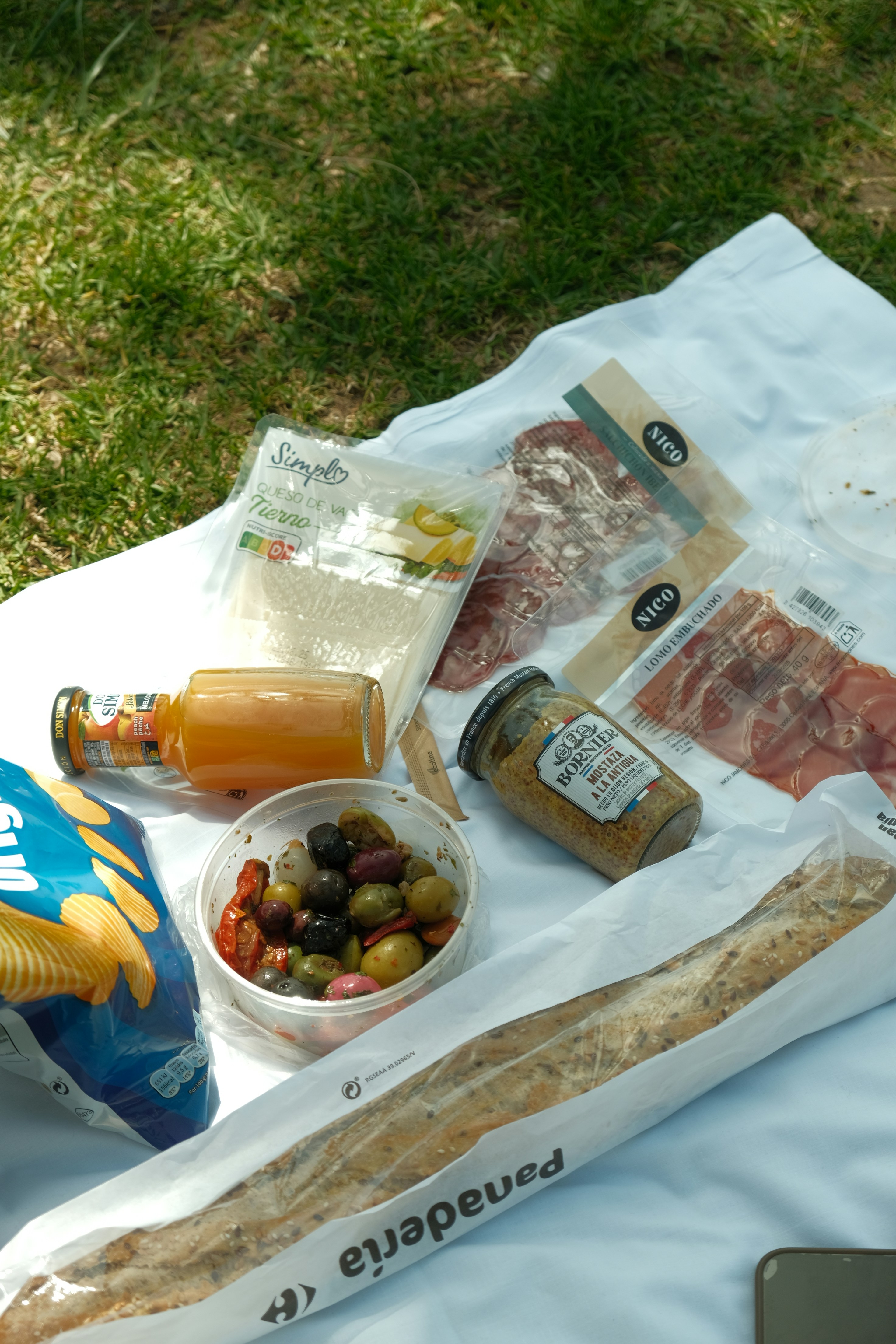 Unleash the Chill: Top High-Performance Coolers That Keep Ice Frozen for Days