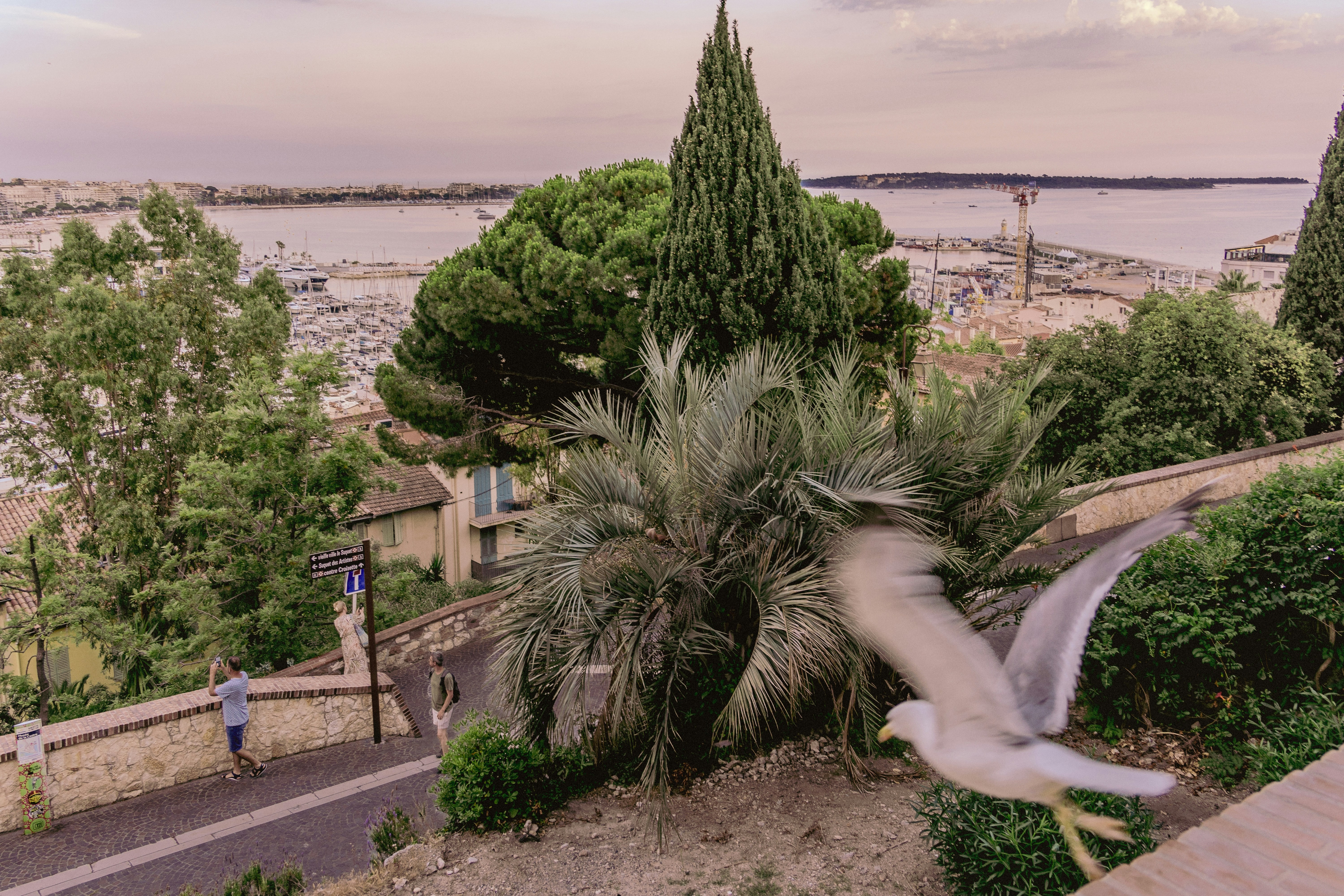 Photo by whereiskylenow