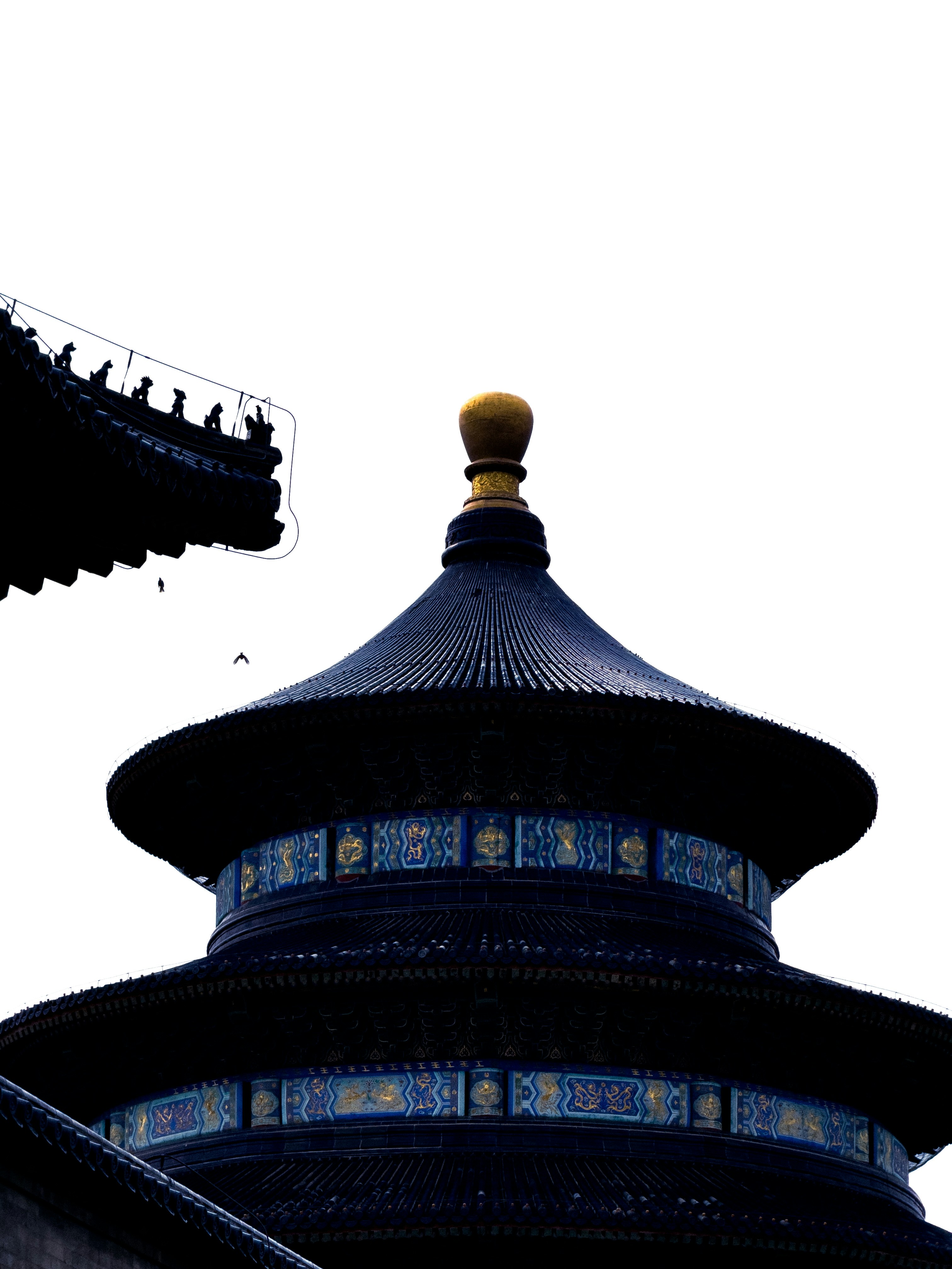 Photo by sergiopereez