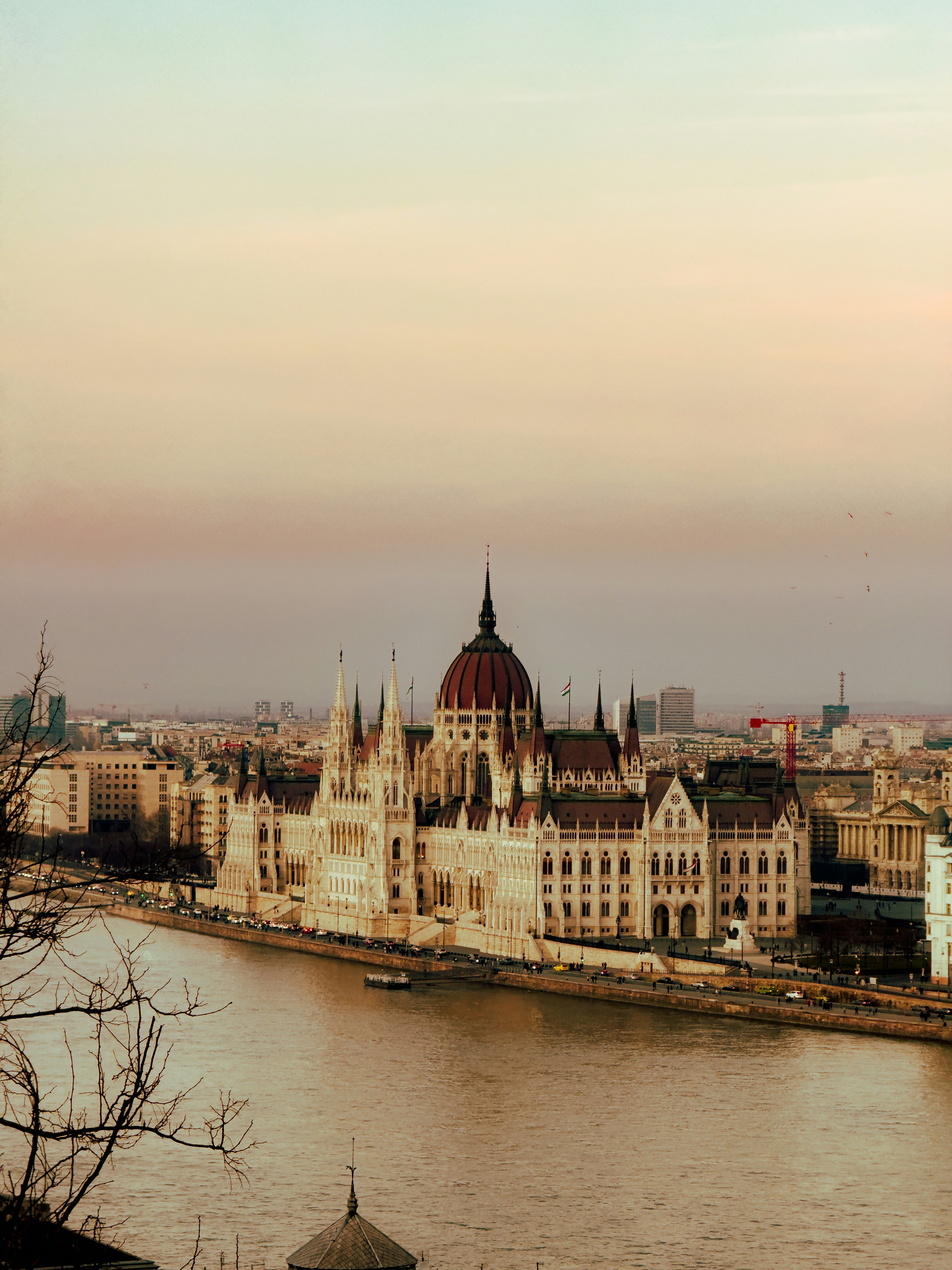 Photo by sergiopereez